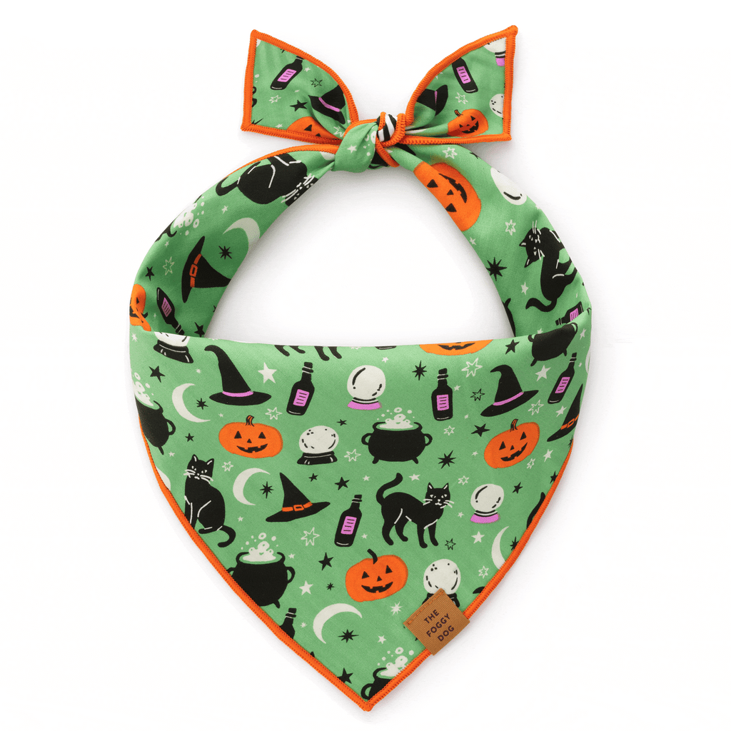 Spellbound Reversible Dog Bandana