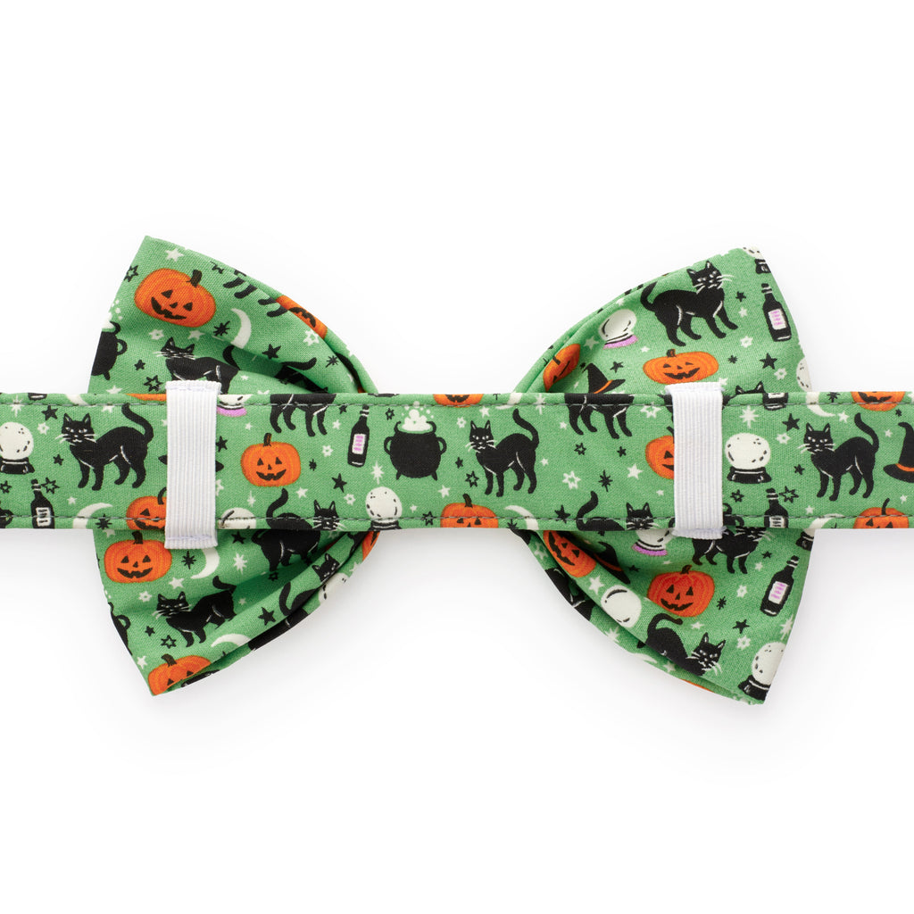 Spellbound Bow Tie Collar