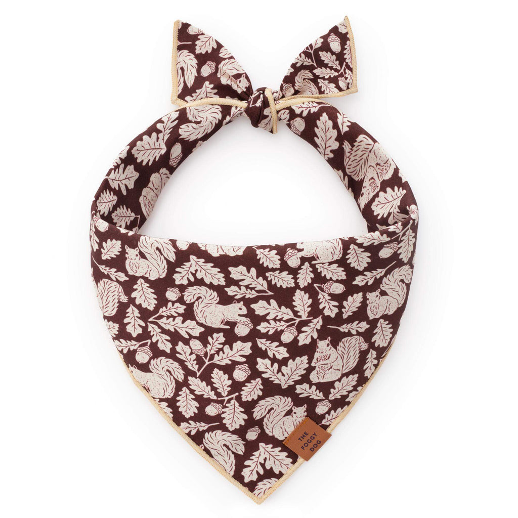 Squirrel! Dog Bandana