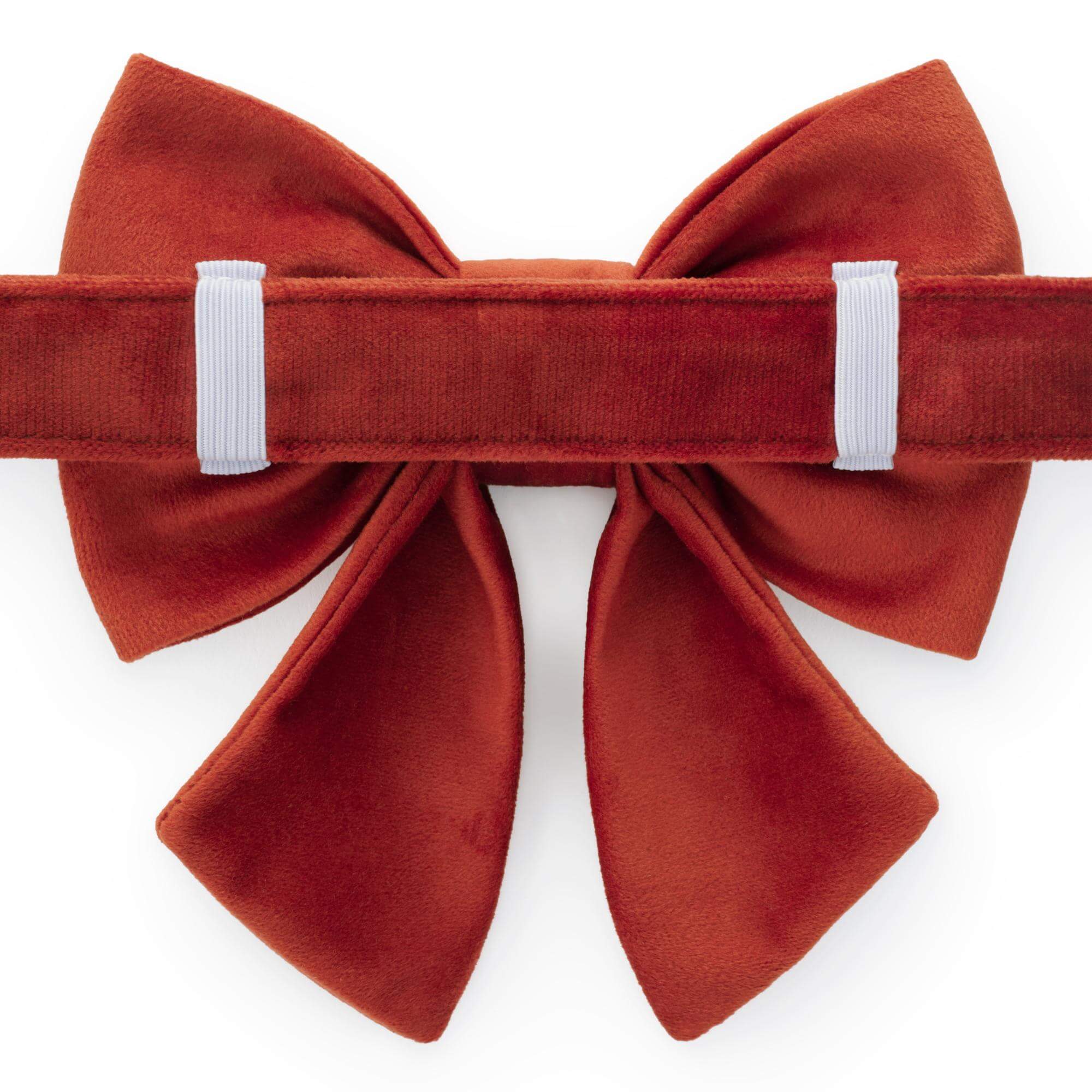 Sunflower Embroidered Lady Bow Collar