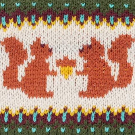 Squirrel Dog Sweater