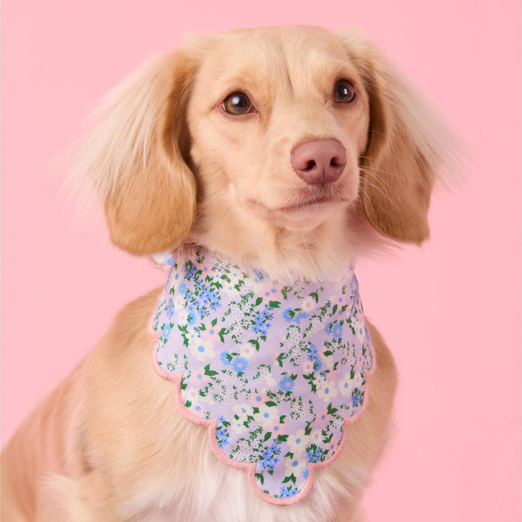 Flora Scalloped Dog Bandana