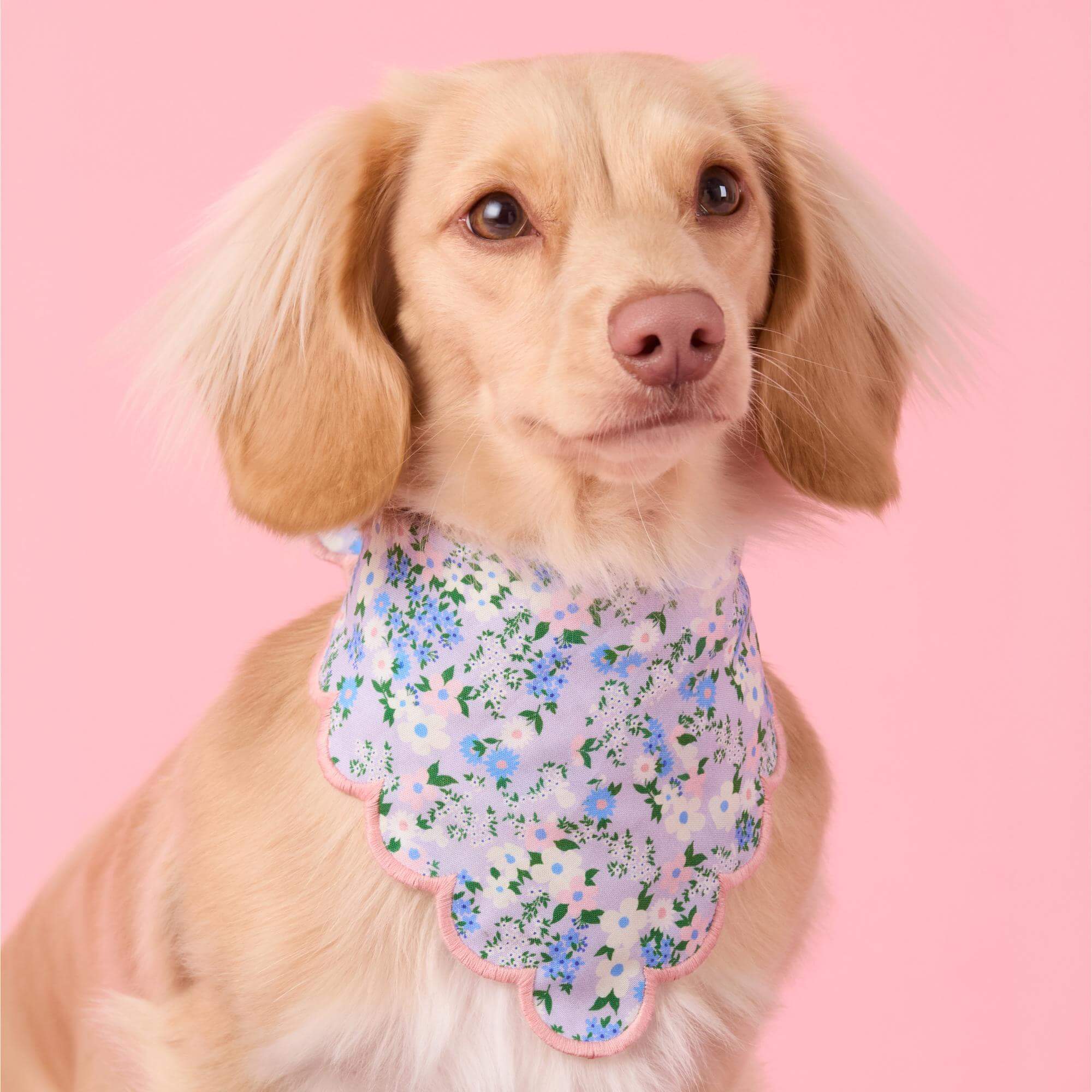 Flora Scalloped Dog Bandana
