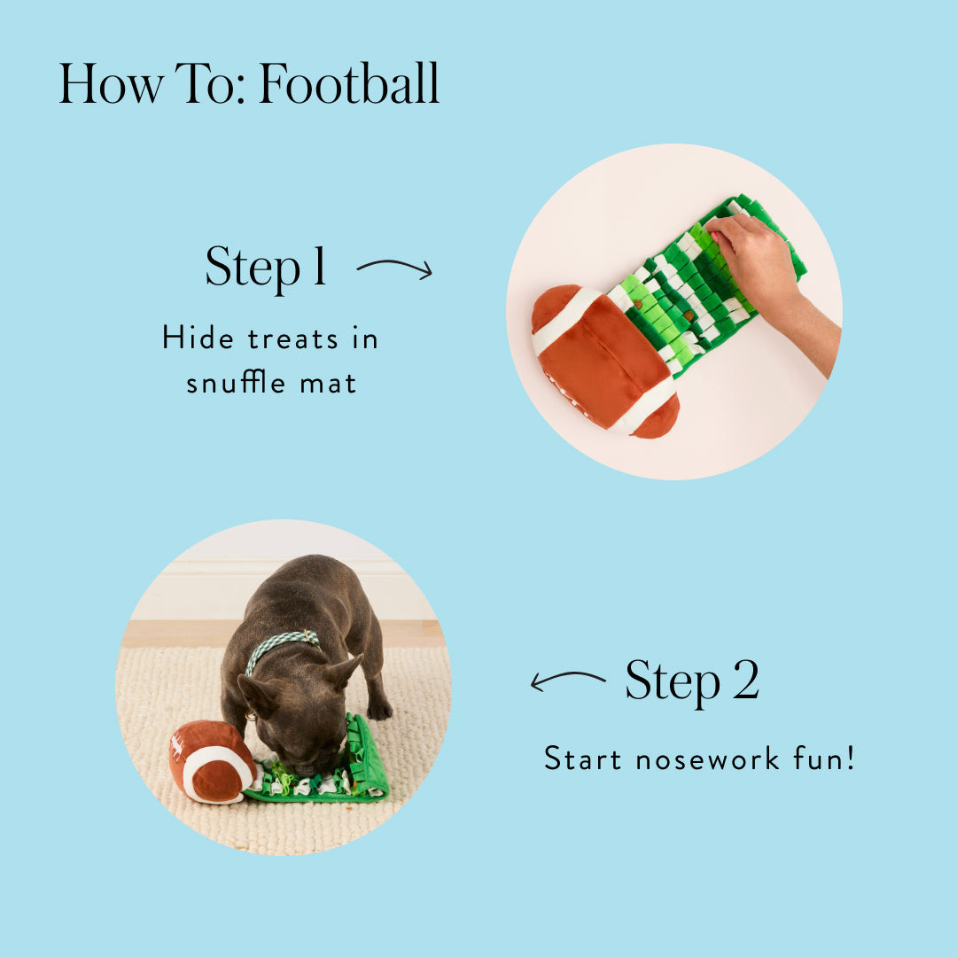 Football Interactive Snuffle Dog Toy