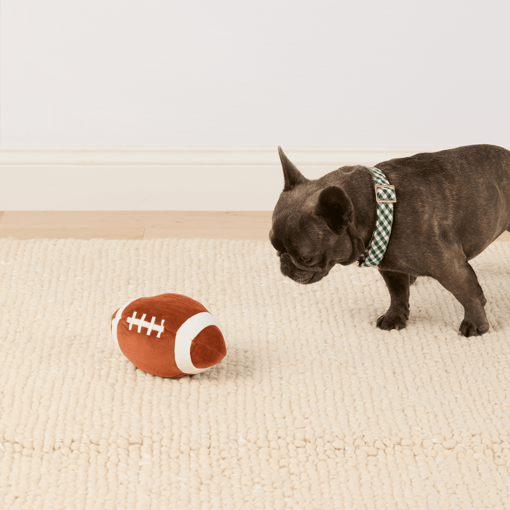 Football Interactive Snuffle Dog Toy