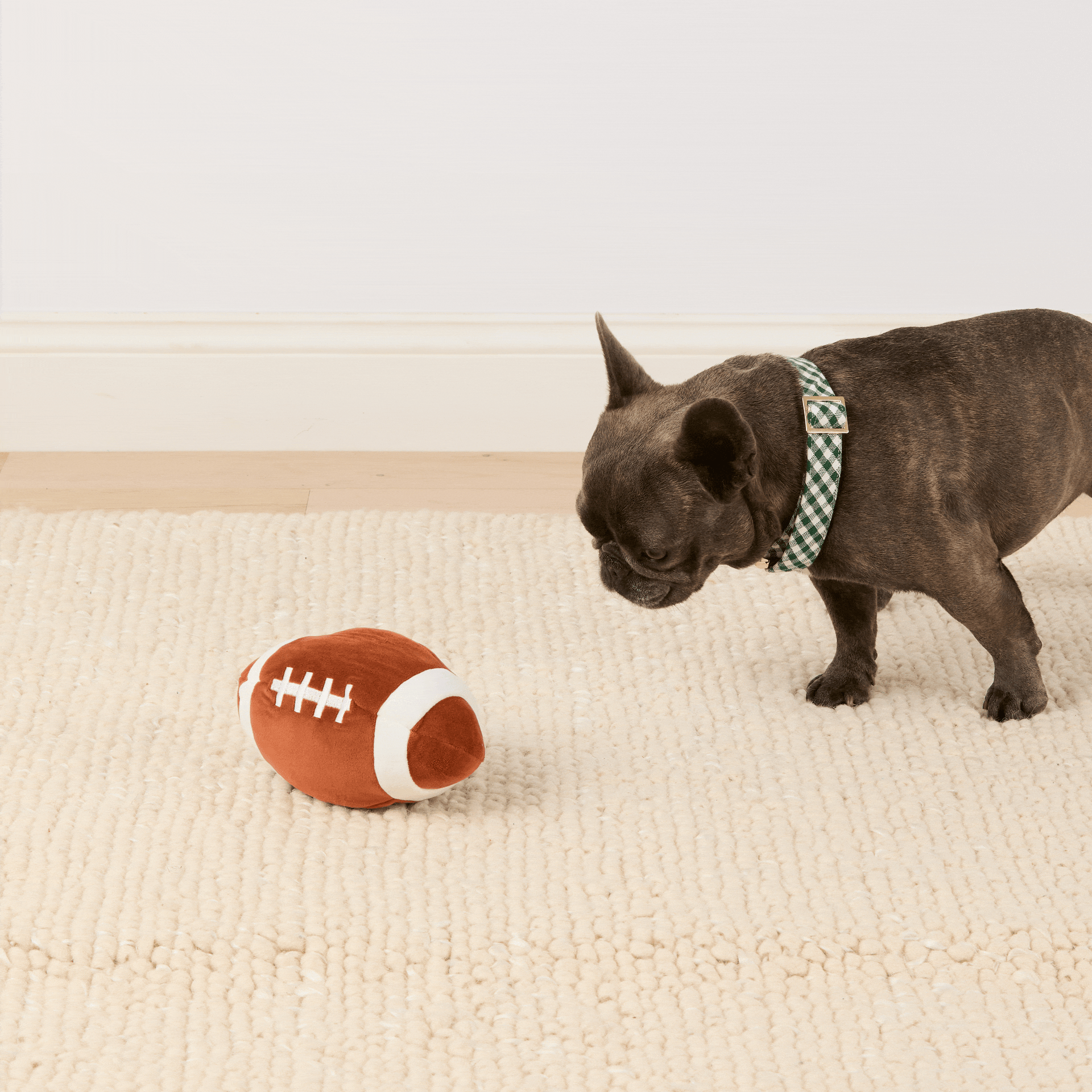 Football Interactive Snuffle Dog Toy