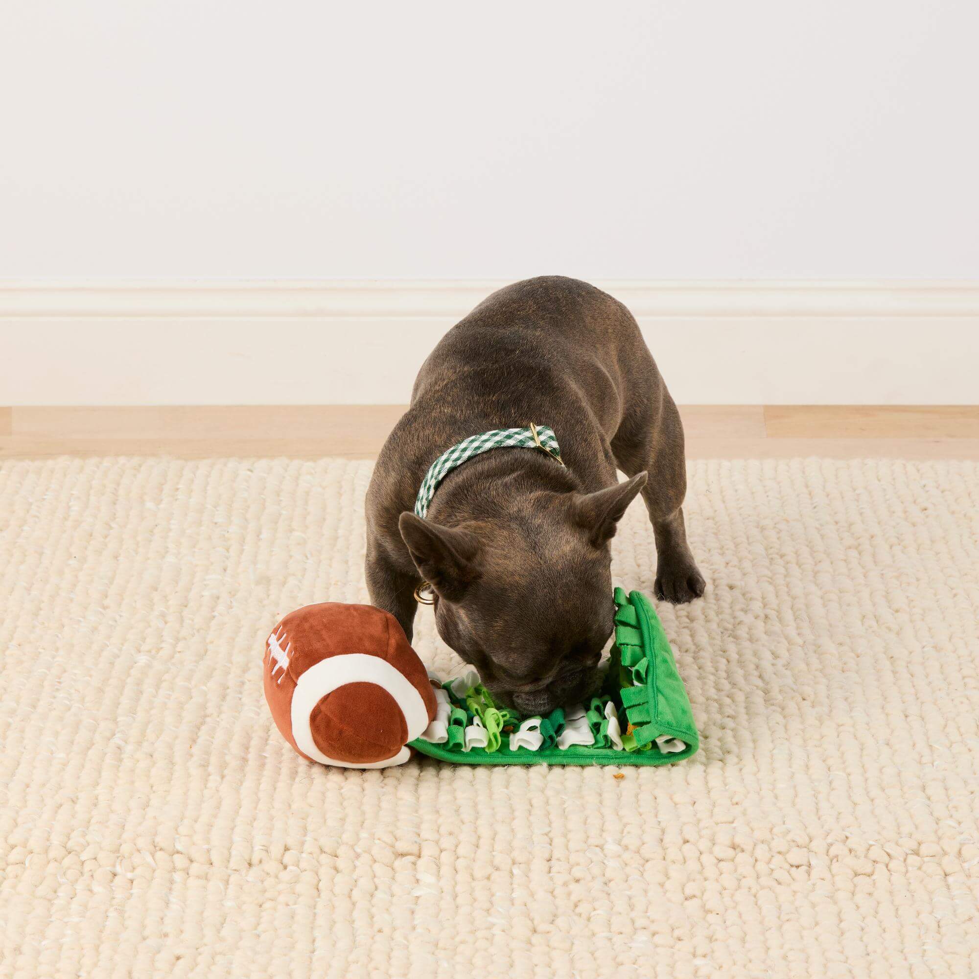 Football Interactive Snuffle Dog Toy