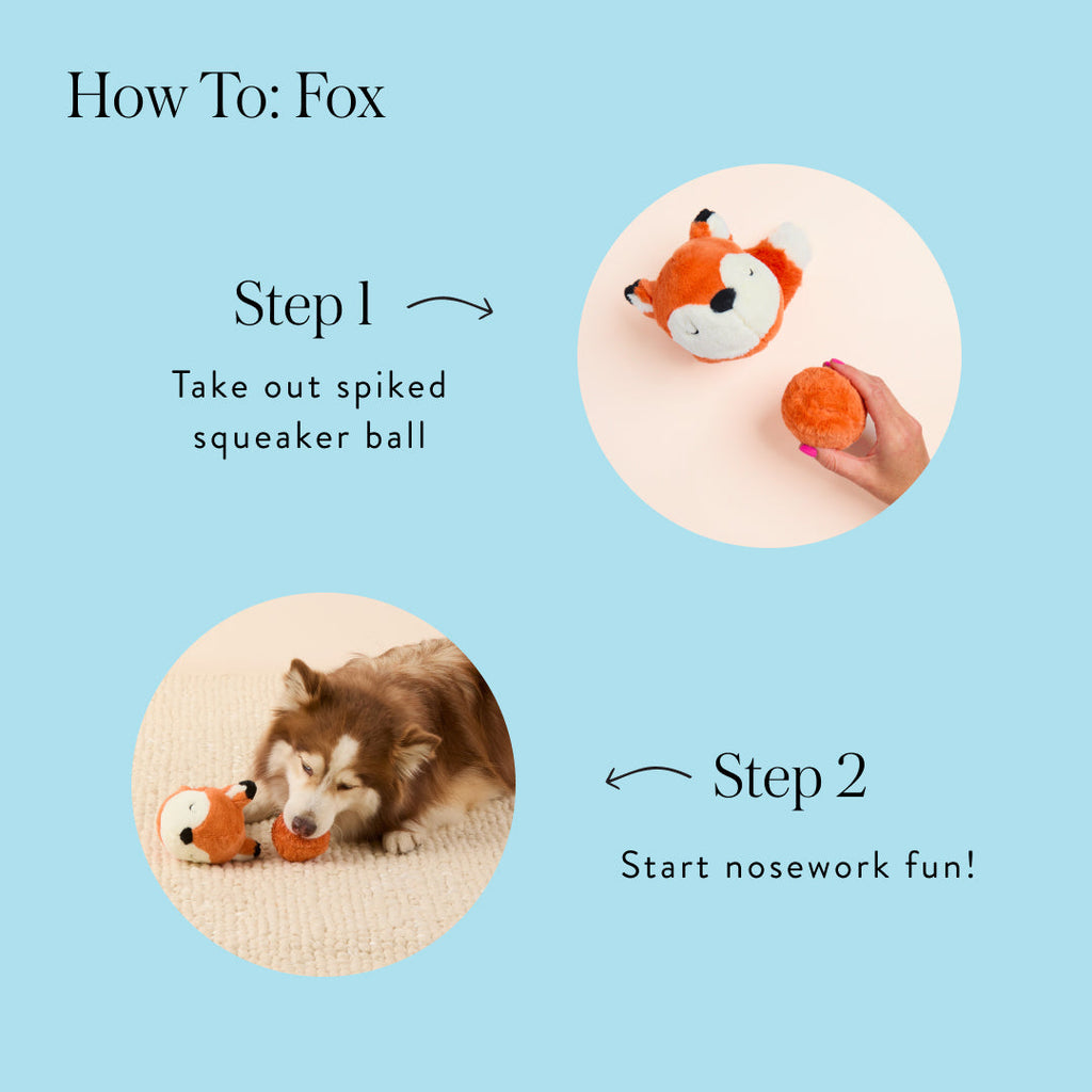 Woodland Friends 2-in-1 Bounce Toy Set