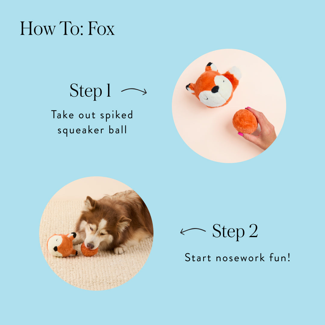Woodland Friends 2-in-1 Bounce Toy Set