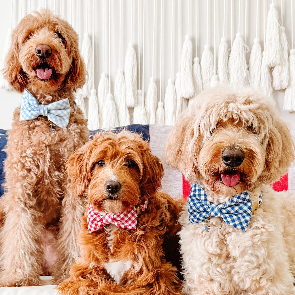 Sky Blue Gingham Bow Tie Collar
