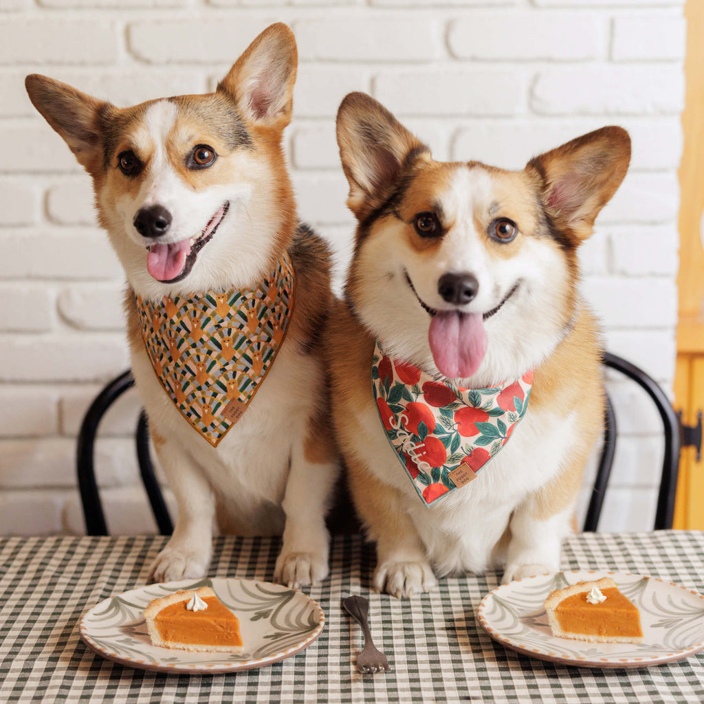 Apple of My Eye Dog Bandana
