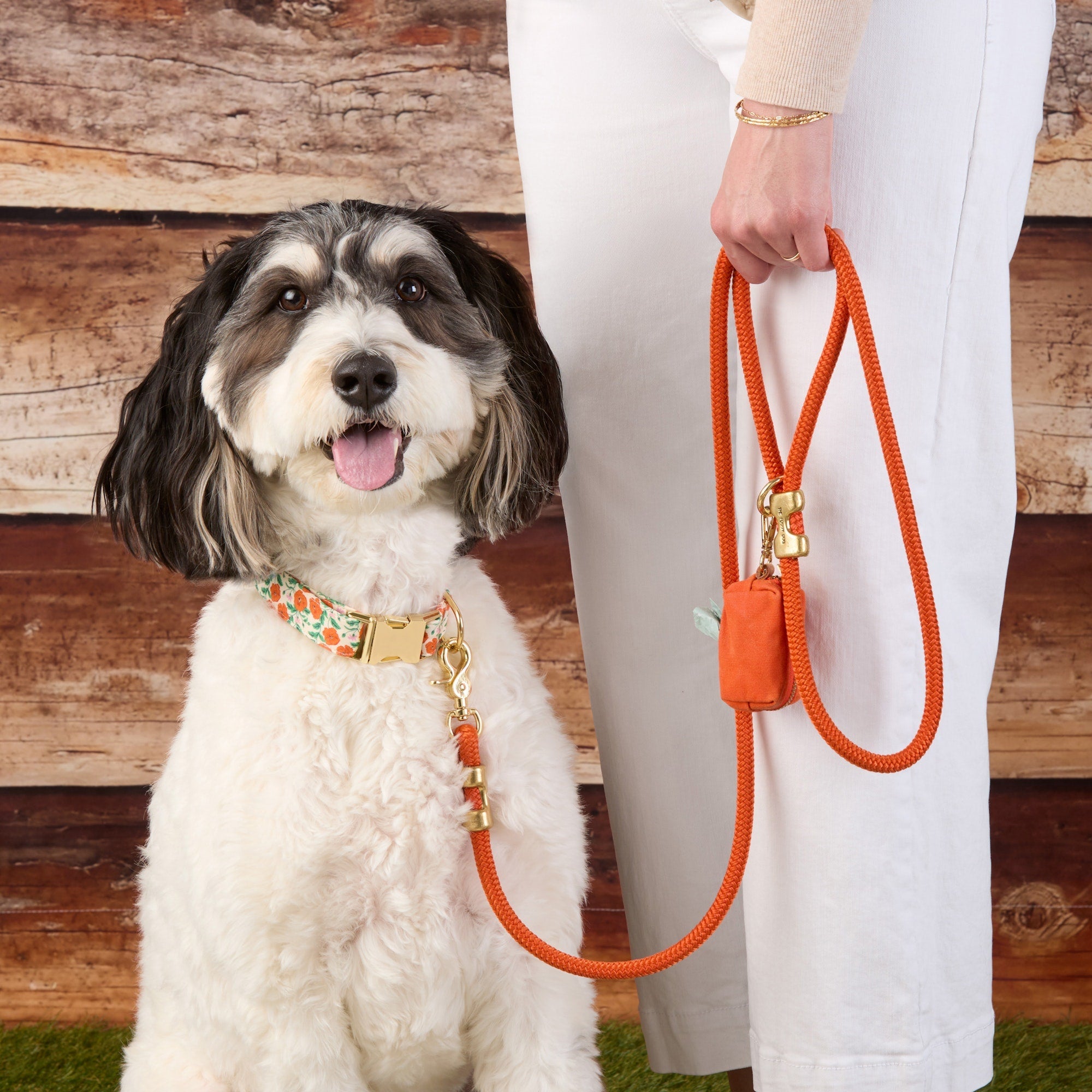 Golden Poppies Collar Walk Set