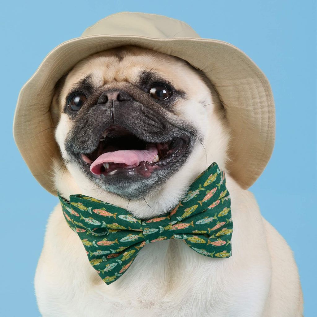 Gone Fishing Bow Tie Collar