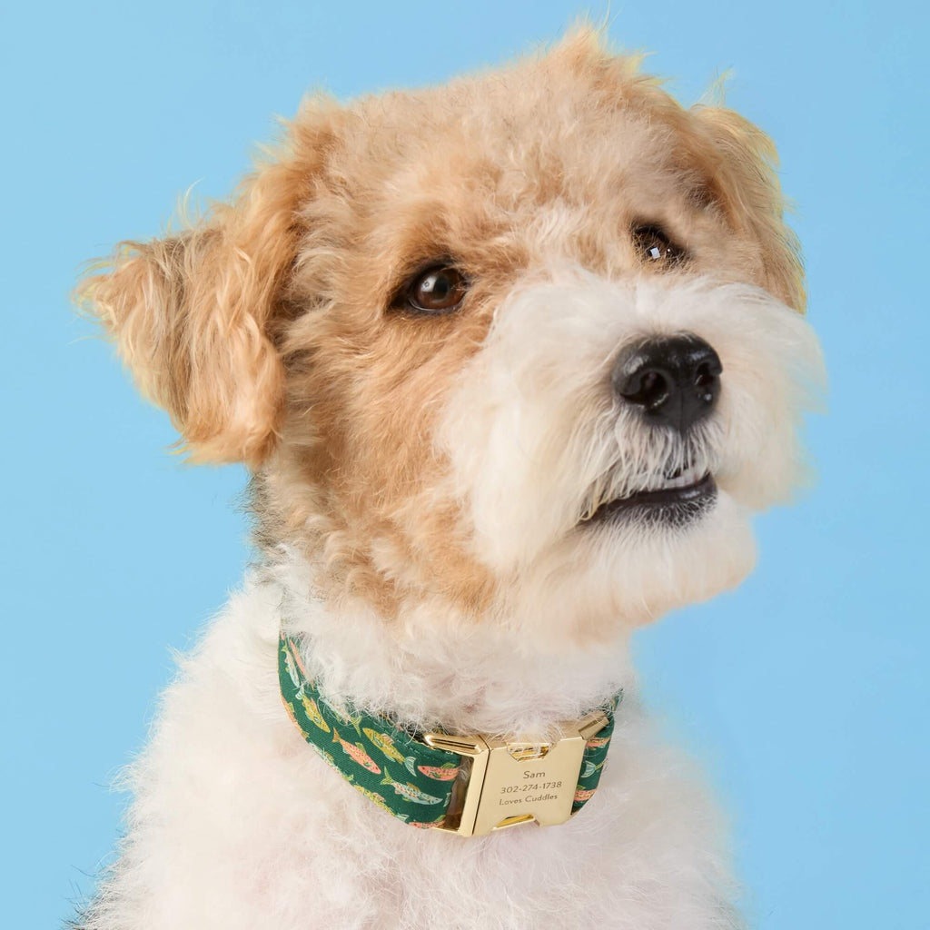 Gone Fishing Dog Collar