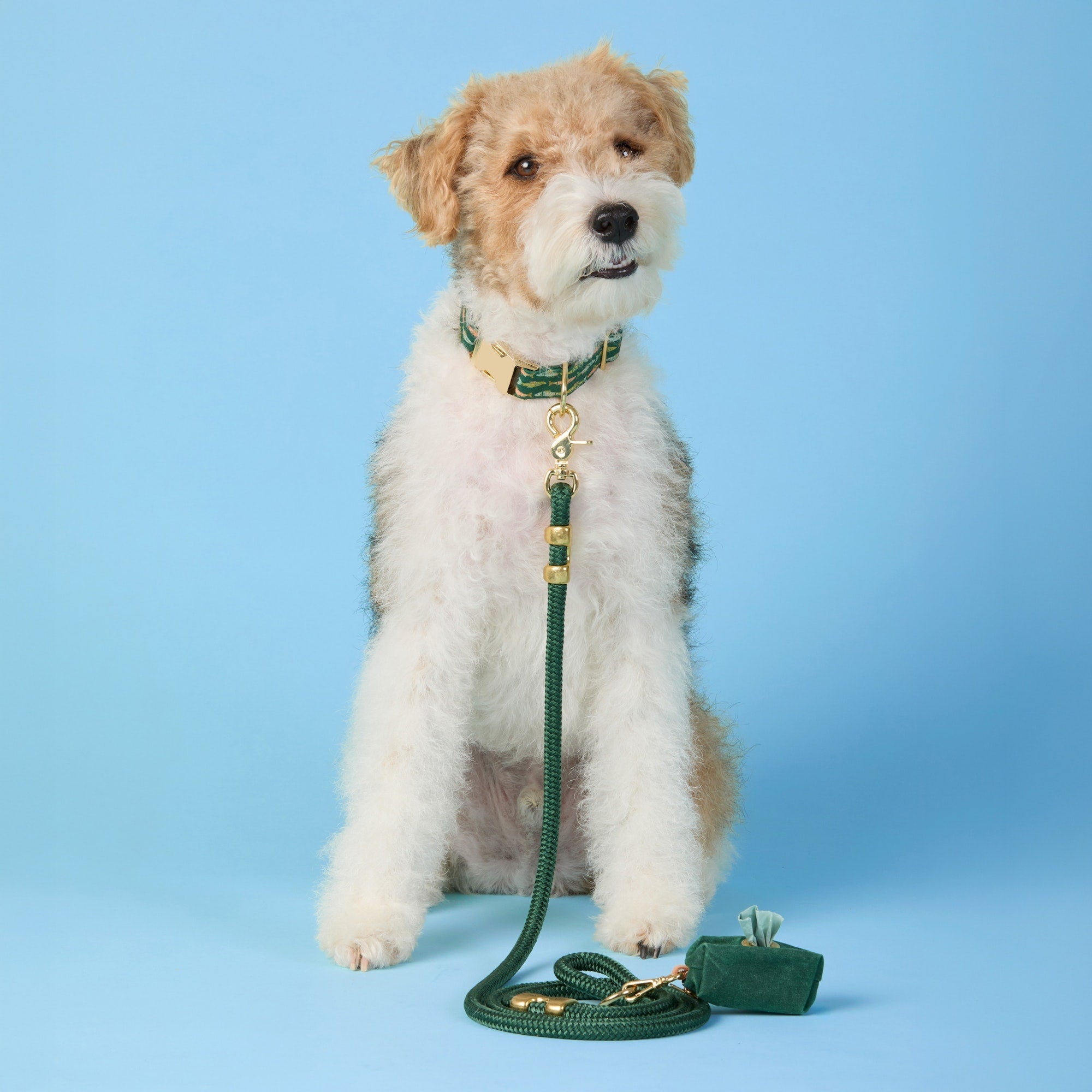Gone Fishing Collar Walk Set