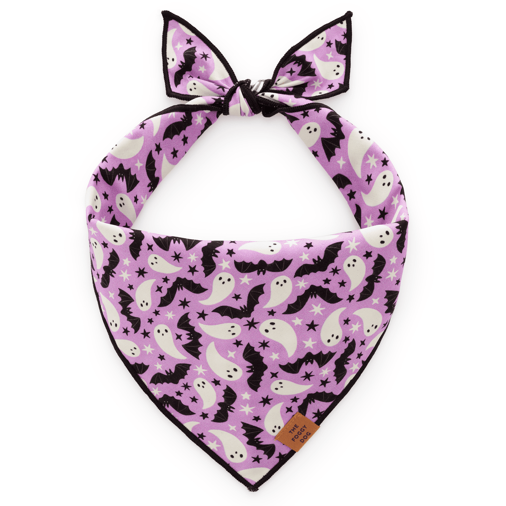 Spooky Season Reversible Dog Bandana
