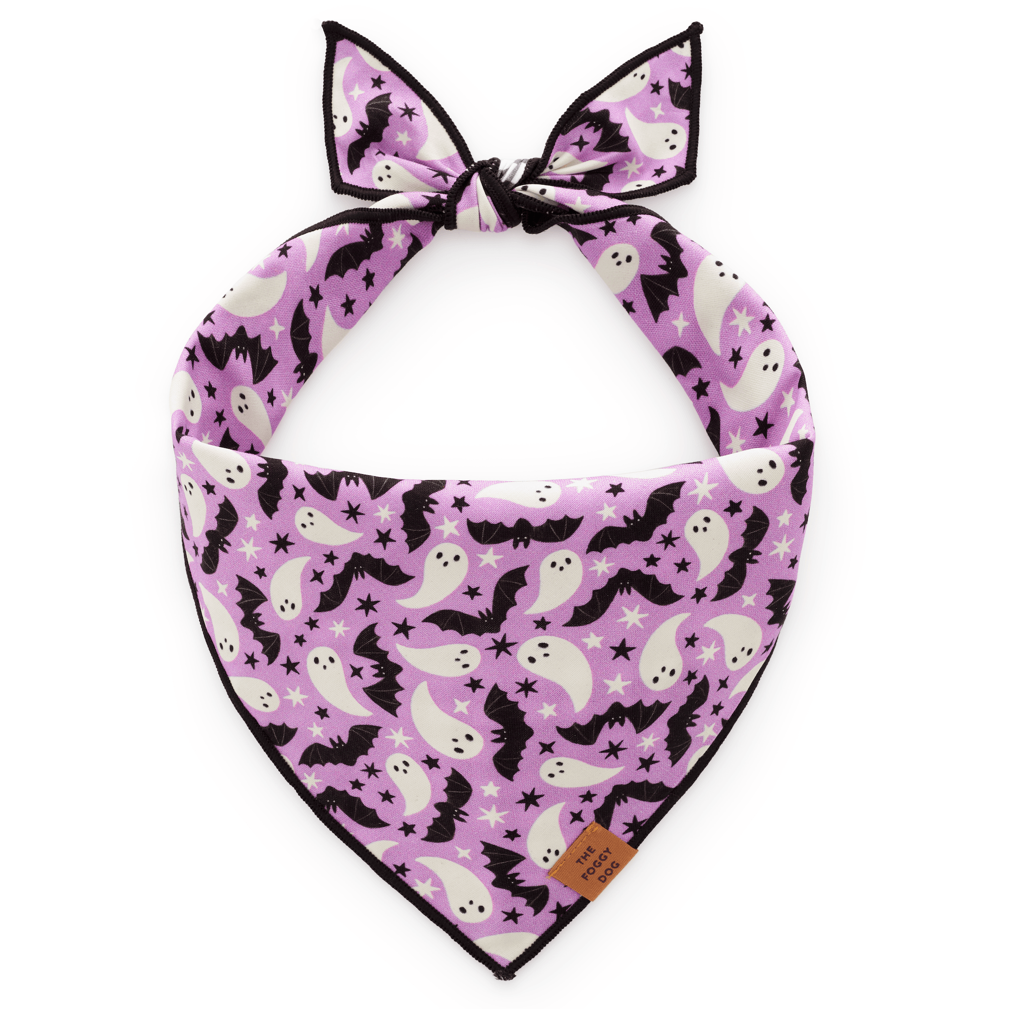 Spooky Season Reversible Dog Bandana
