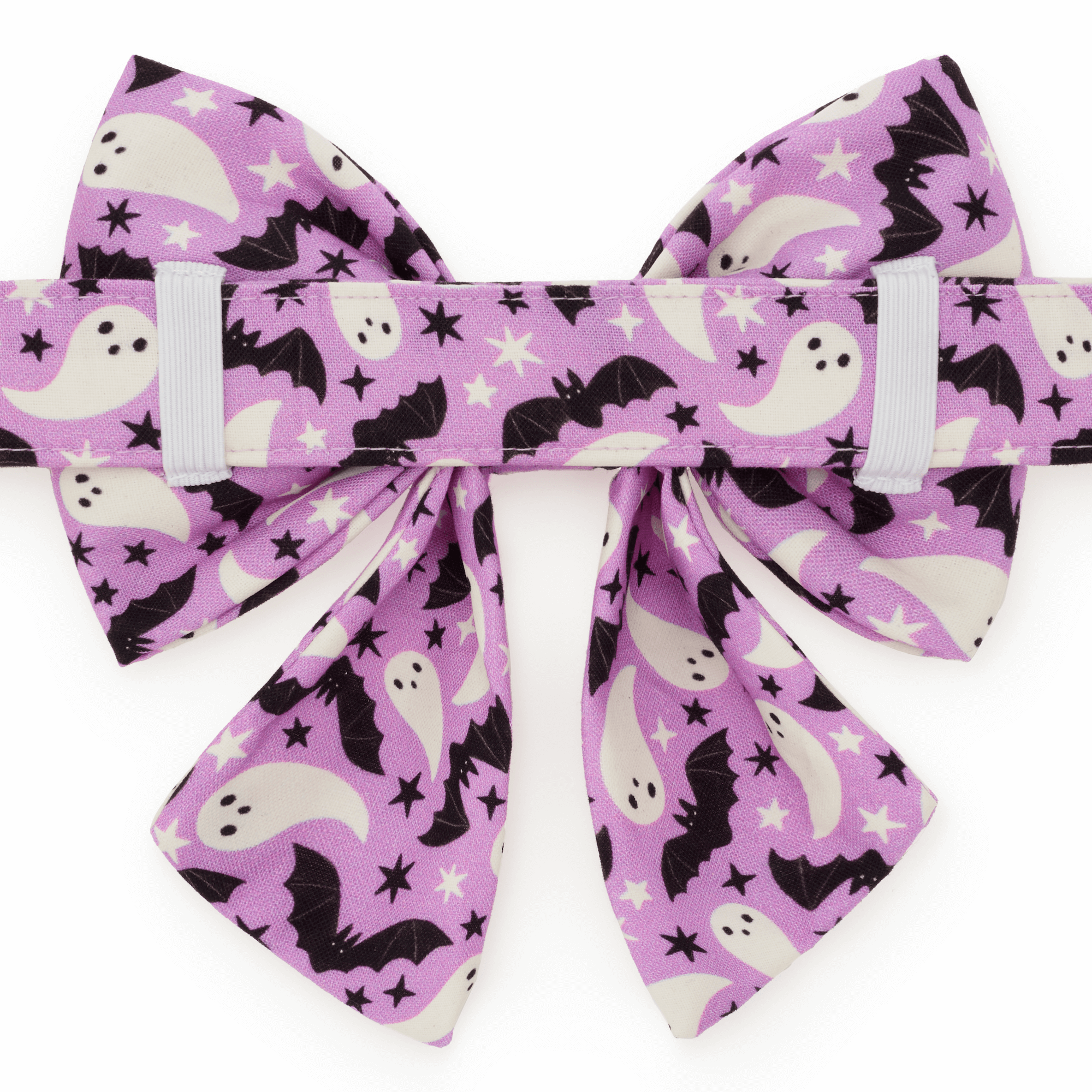 Spooky Season Lady Bow Collar