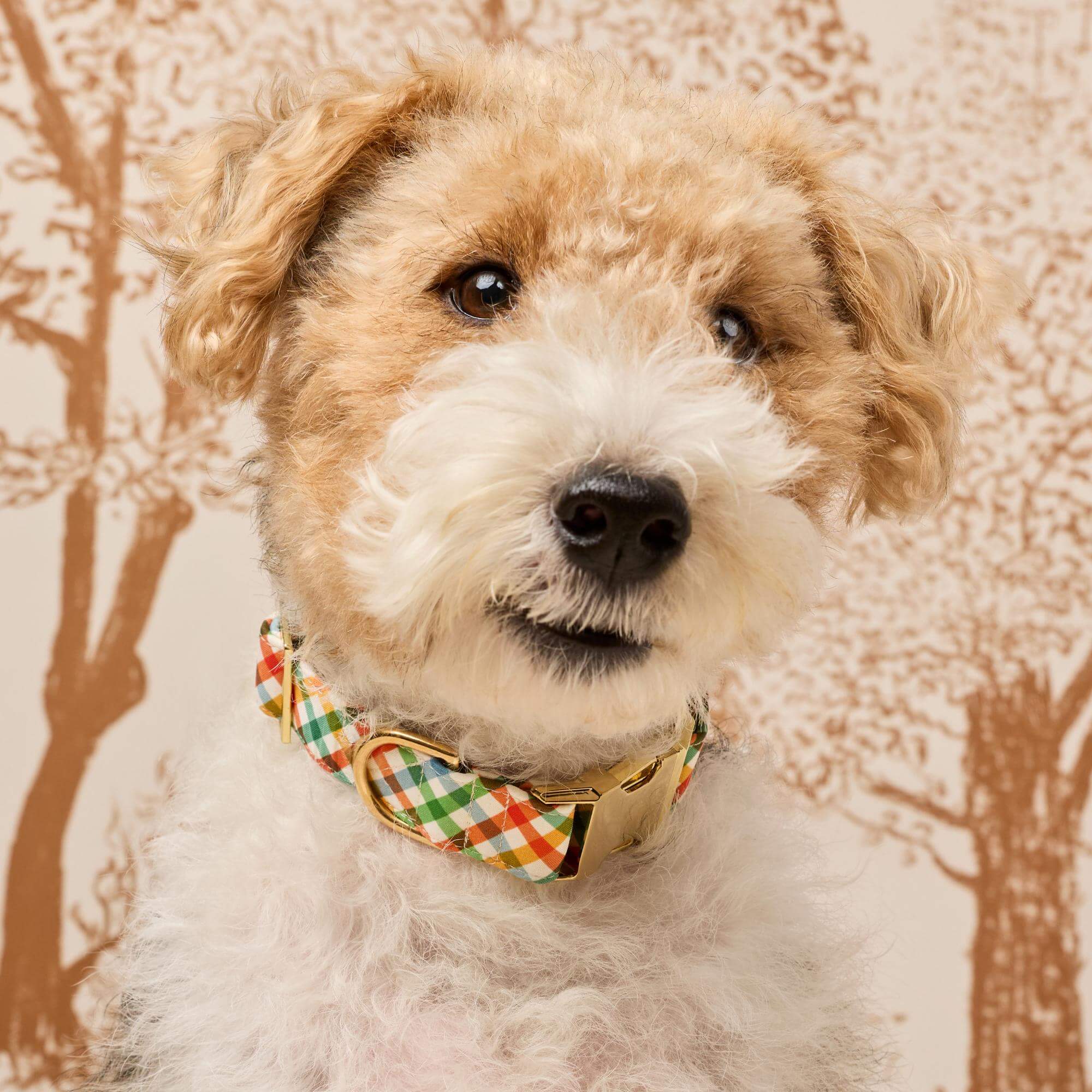 Harvest Gingham Dog Collar