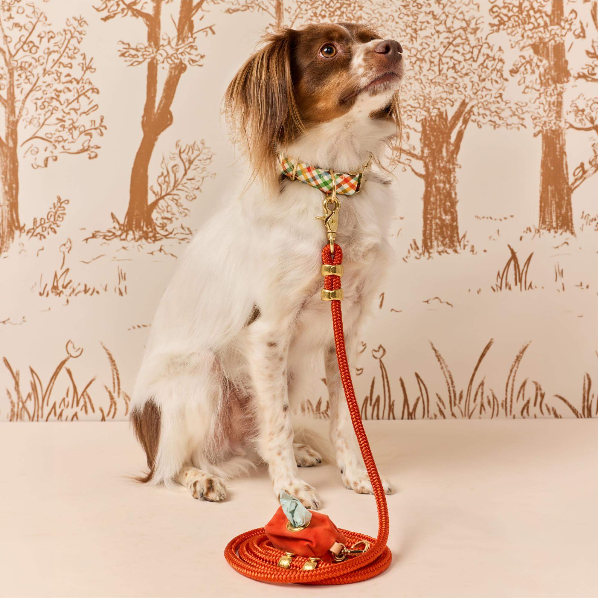 Harvest Gingham Collar Walk Set