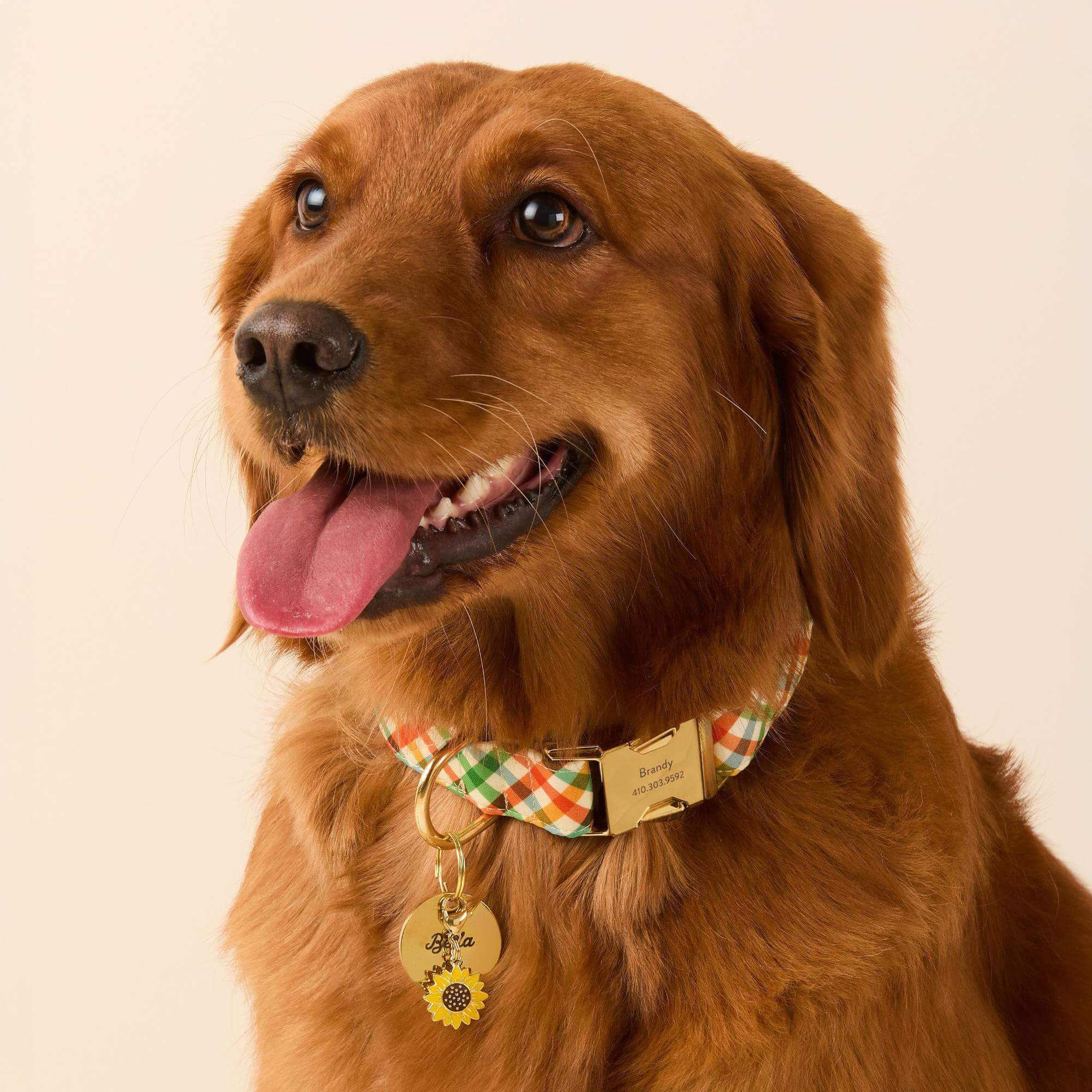 Harvest Gingham Dog Collar
