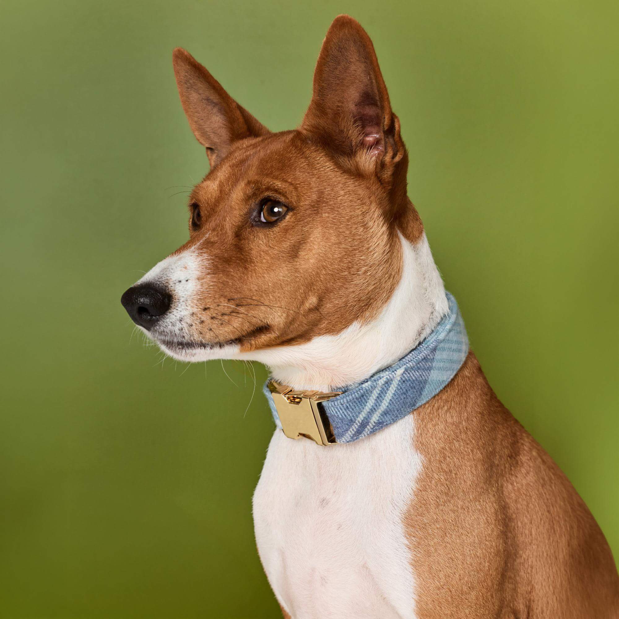 Hawthorne Plaid Flannel Dog Collar