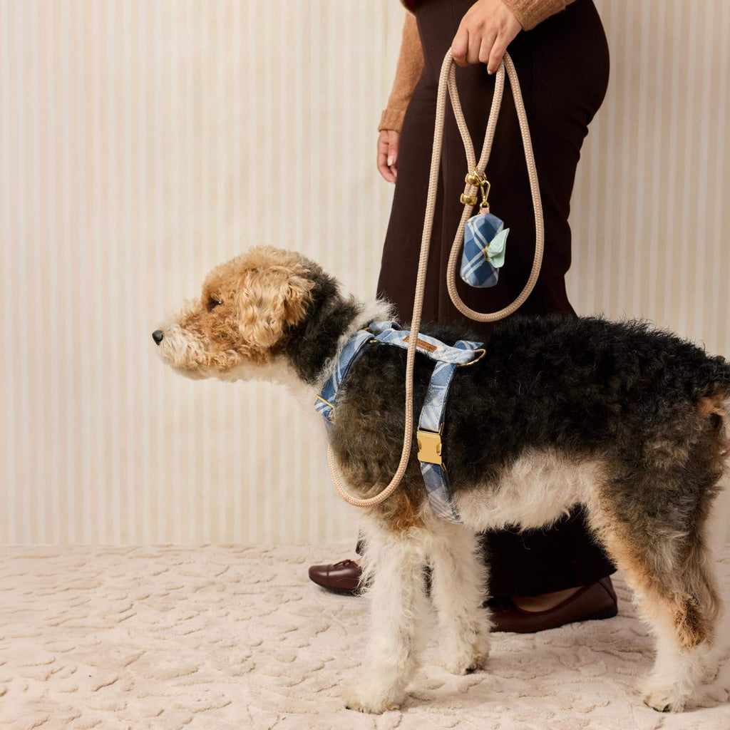 Hawthorne Plaid Flannel Harness Walk Set