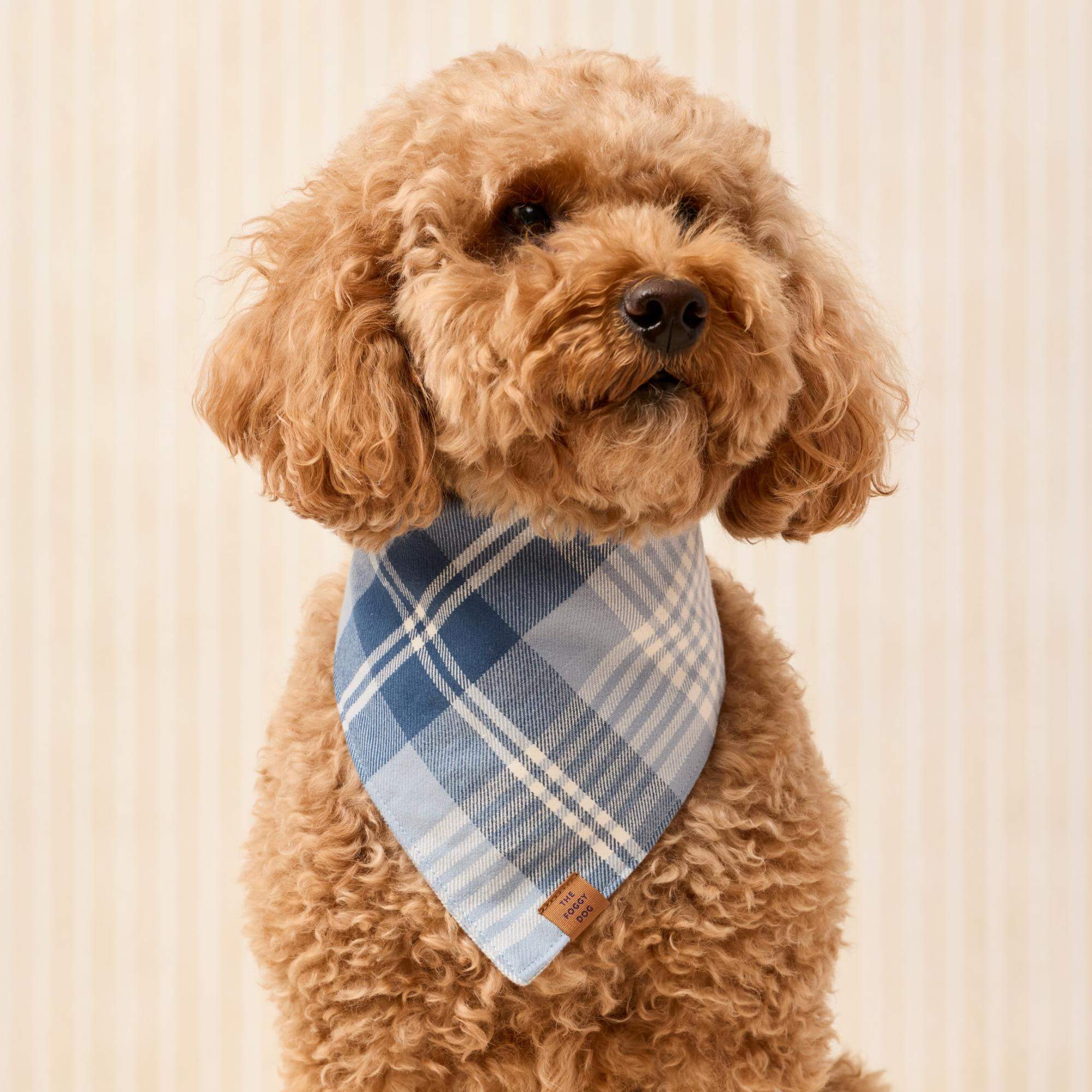 Hawthorne Plaid Flannel Dog Bandana