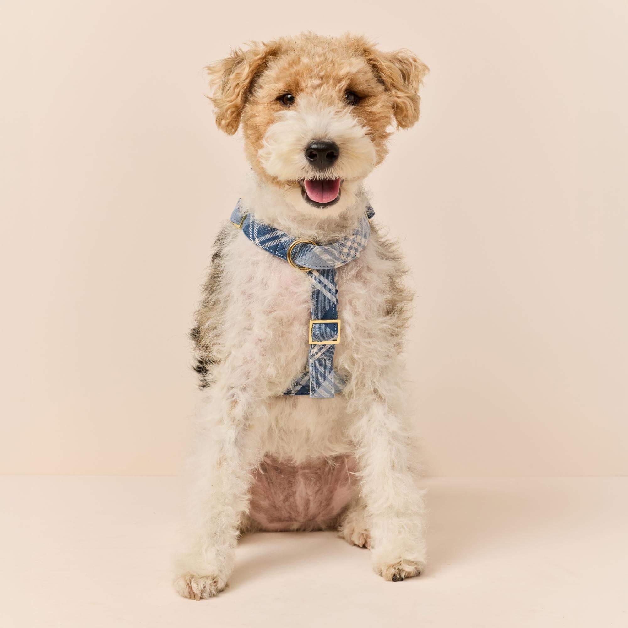 Hawthorne Plaid Flannel Dog Harness