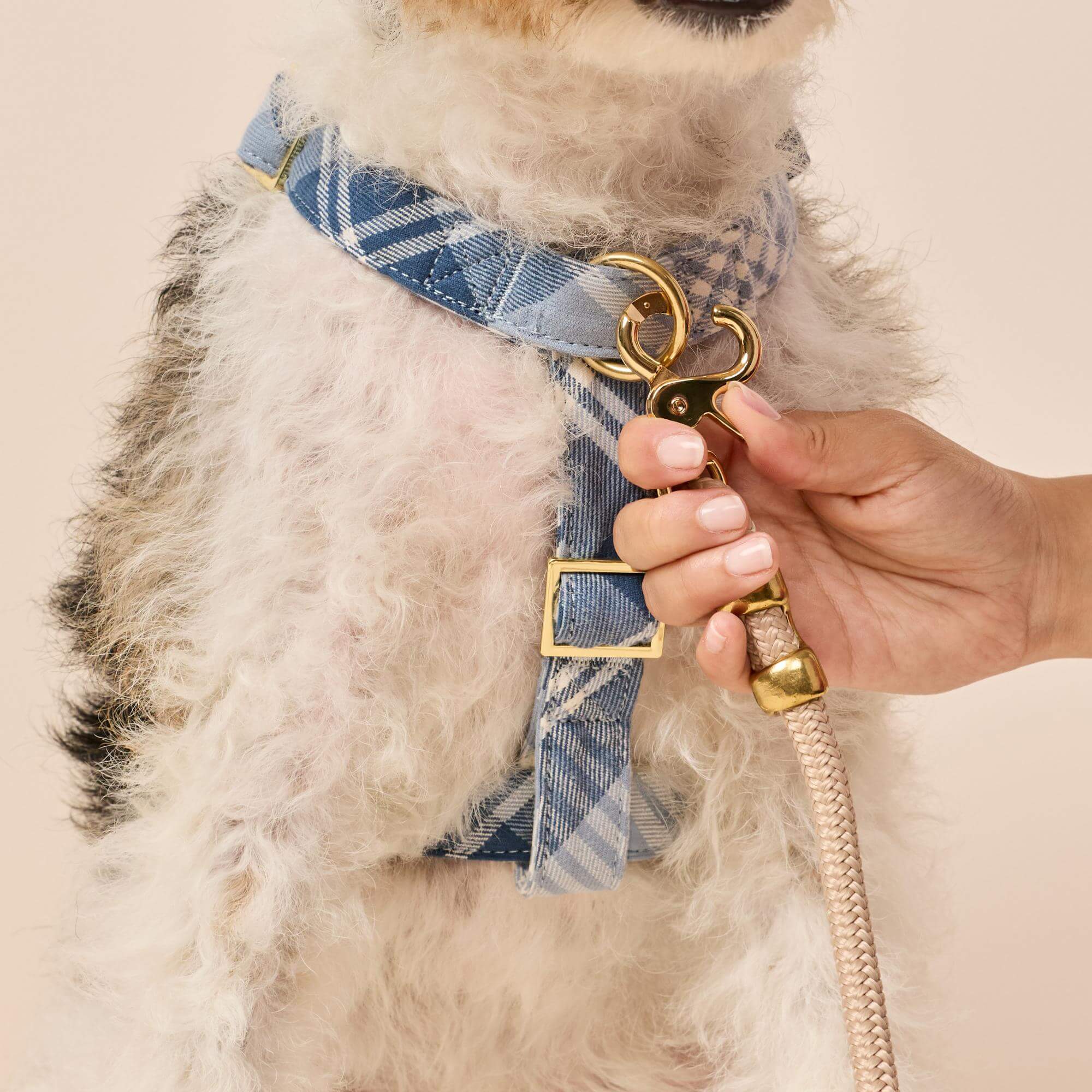 Hawthorne Plaid Flannel Harness Walk Set