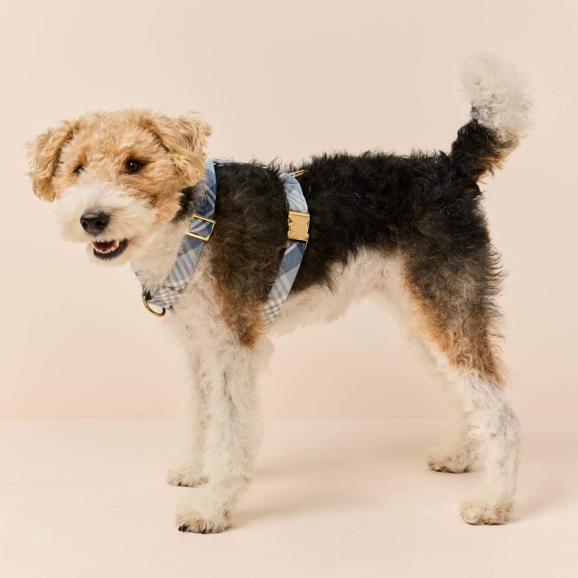 Hawthorne Plaid Flannel Dog Harness