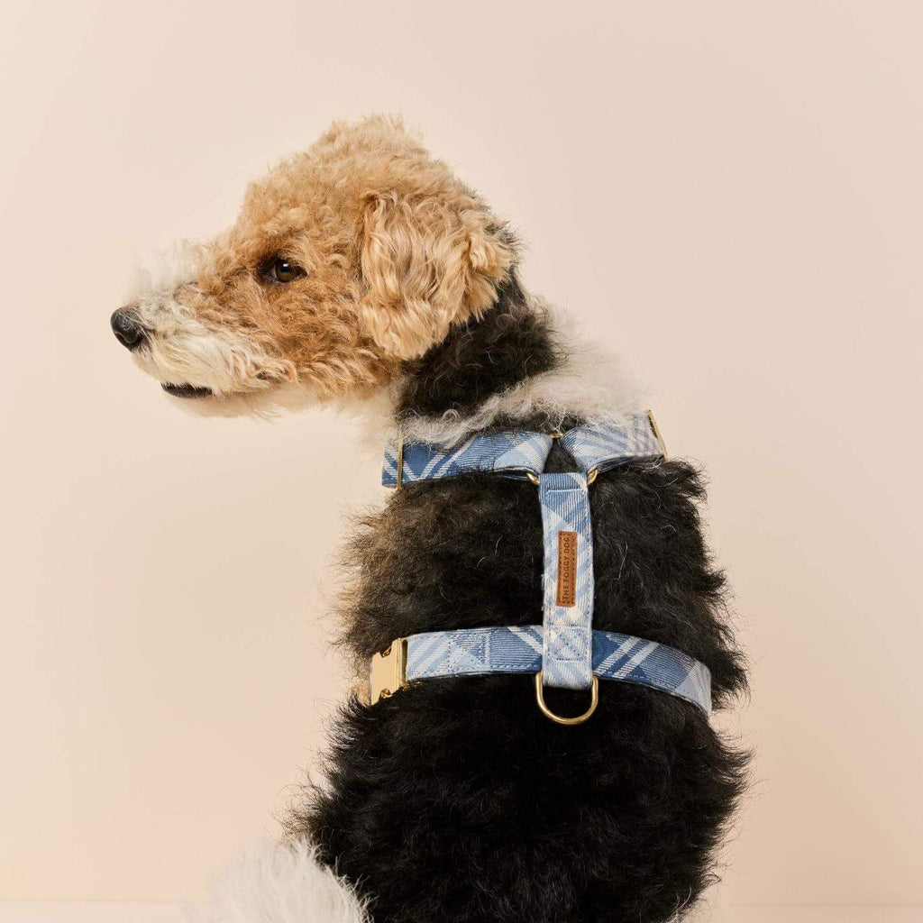 Hawthorne Plaid Flannel Dog Harness