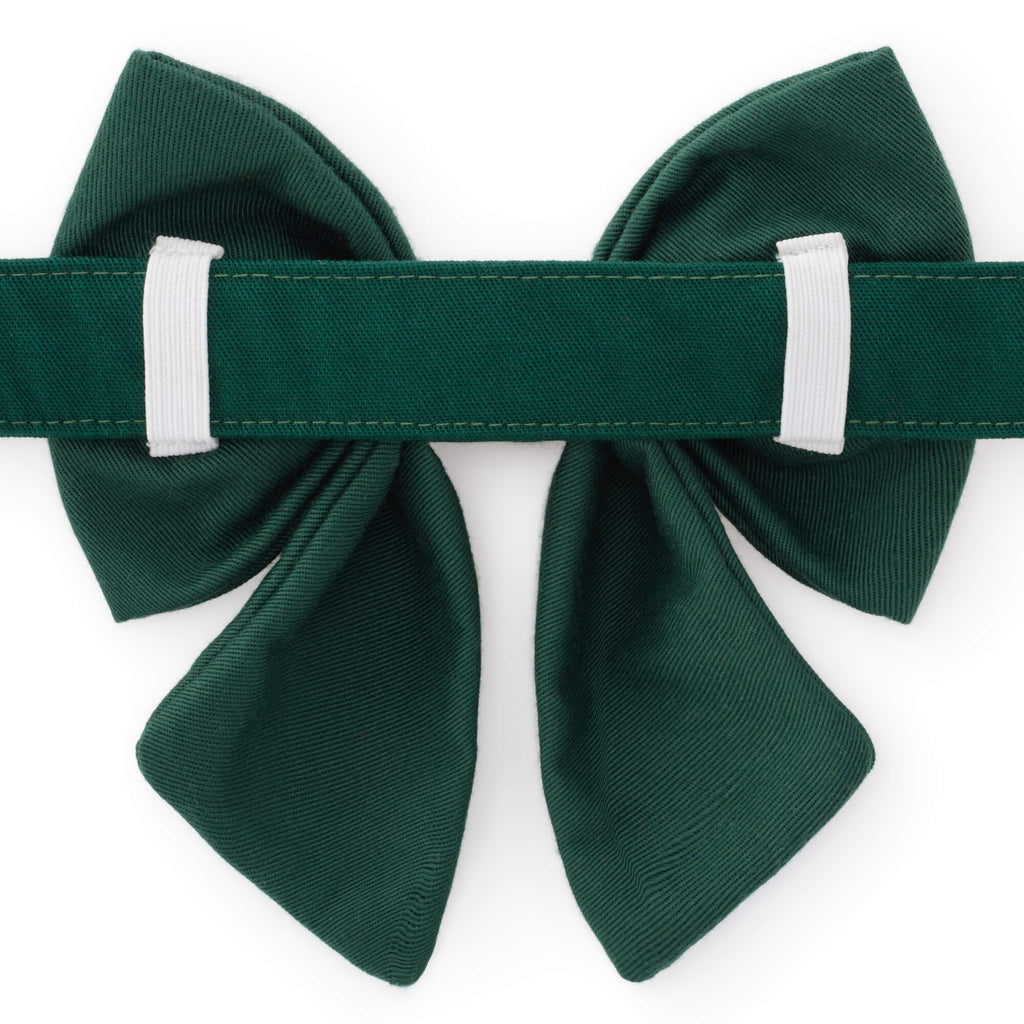 Fall Foliage Embroidered Lady Bow Collar