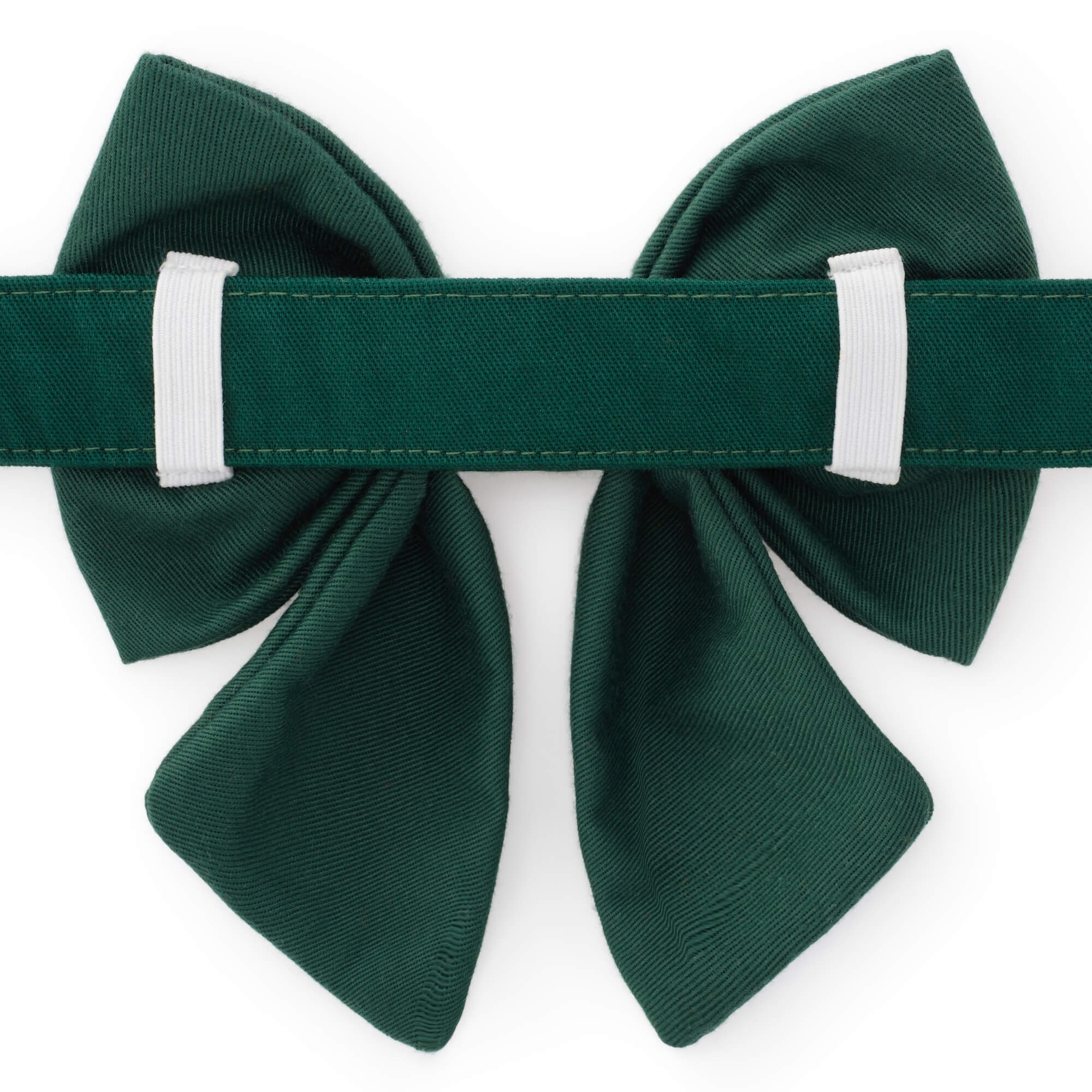 Fall Foliage Embroidered Lady Bow Collar