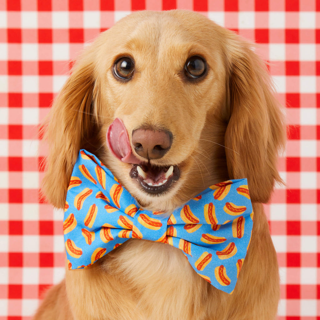 Hot Diggity Bow Tie Collar