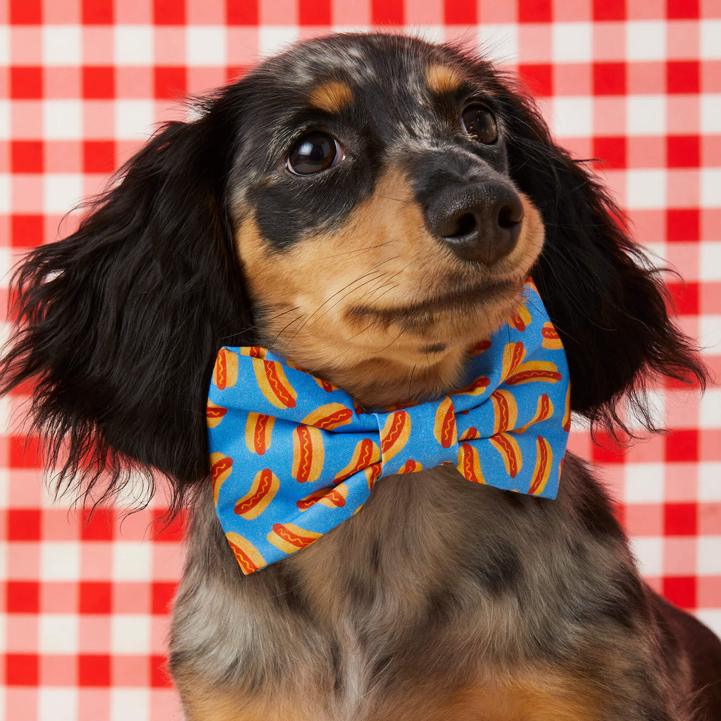 Hot Diggity Bow Tie Collar