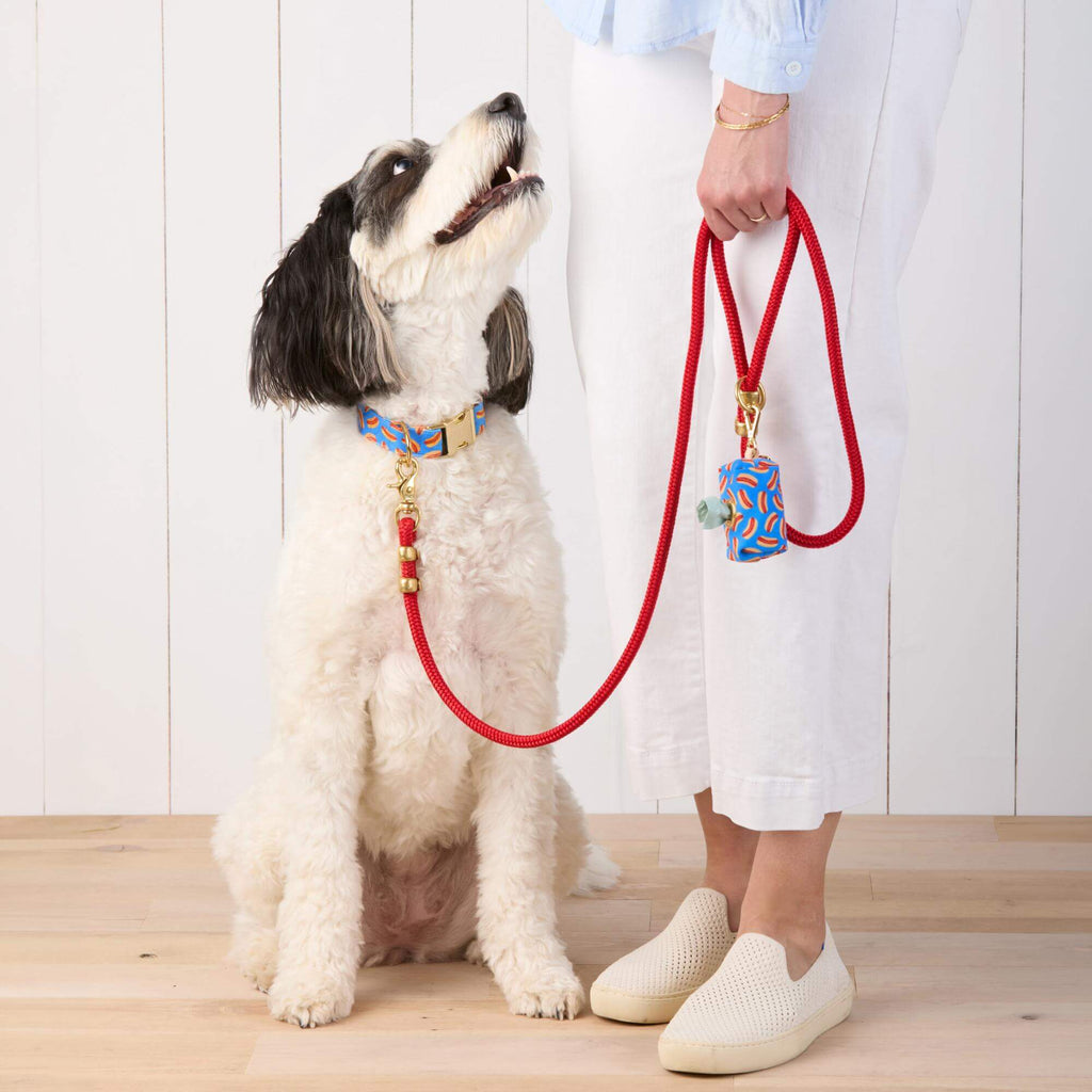 Hot Diggity Collar Walk Set