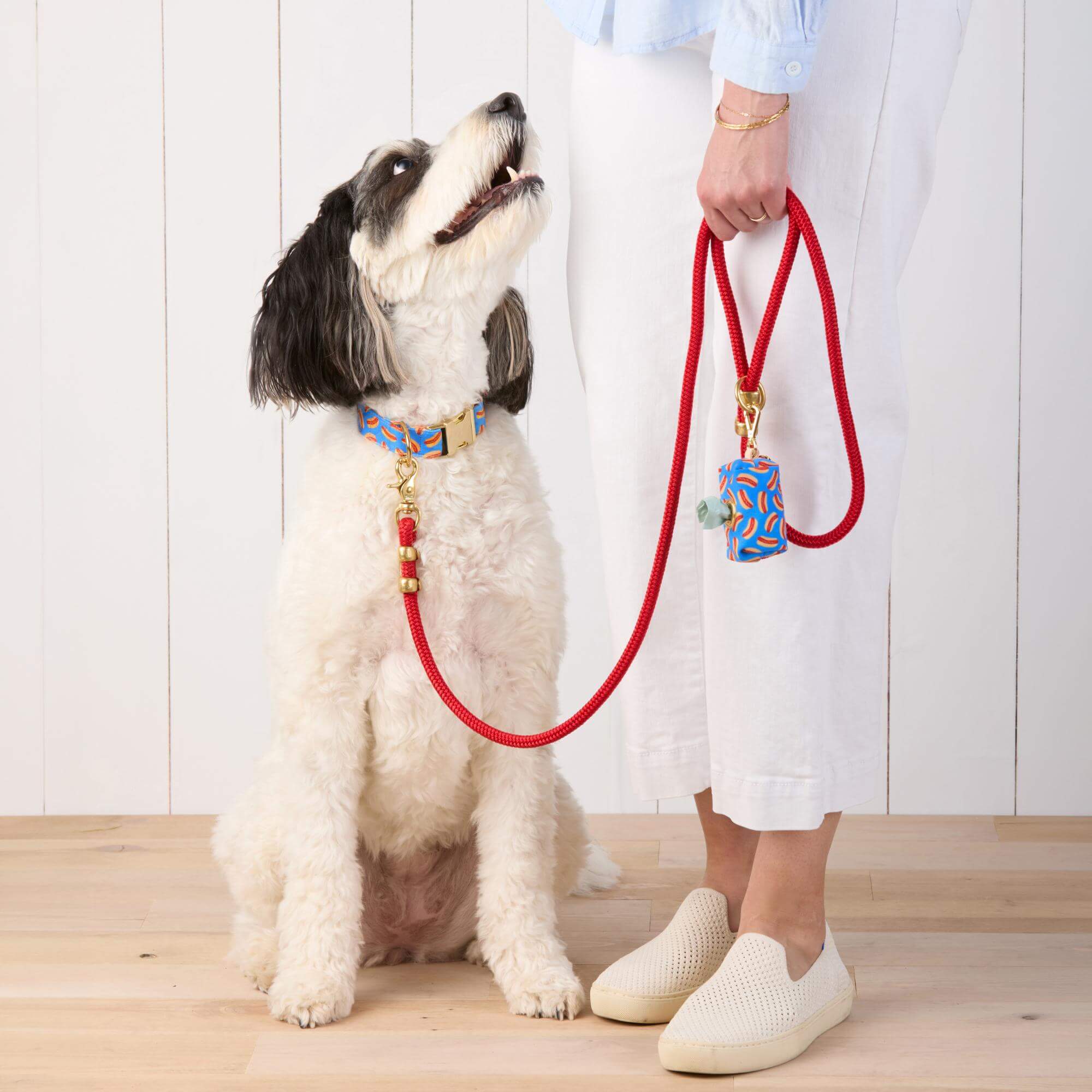 Hot Diggity Collar Walk Set