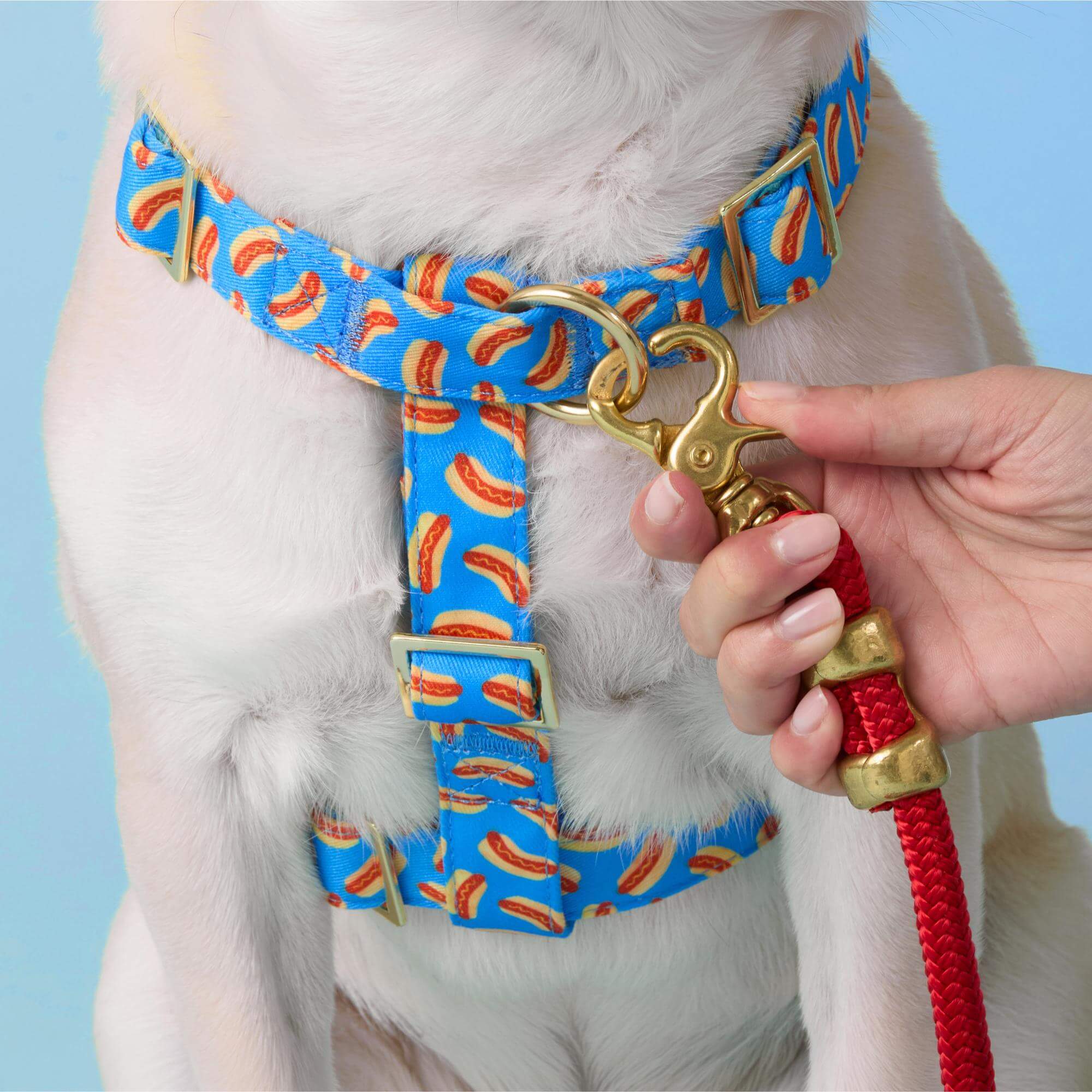 Hot Diggity Dog Harness