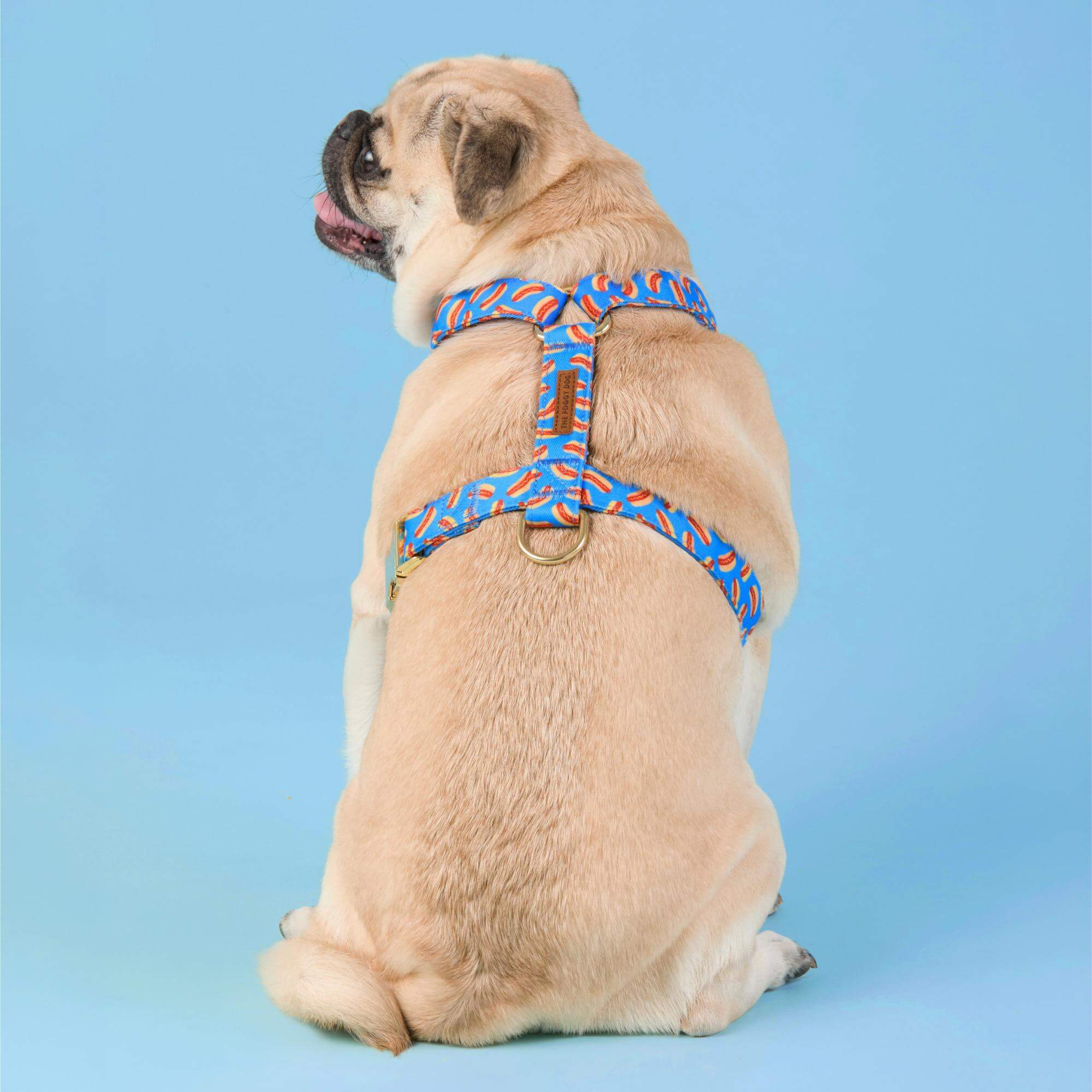 Hot Diggity Dog Harness