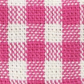 Hot Pink Gingham Collar Walk Set
