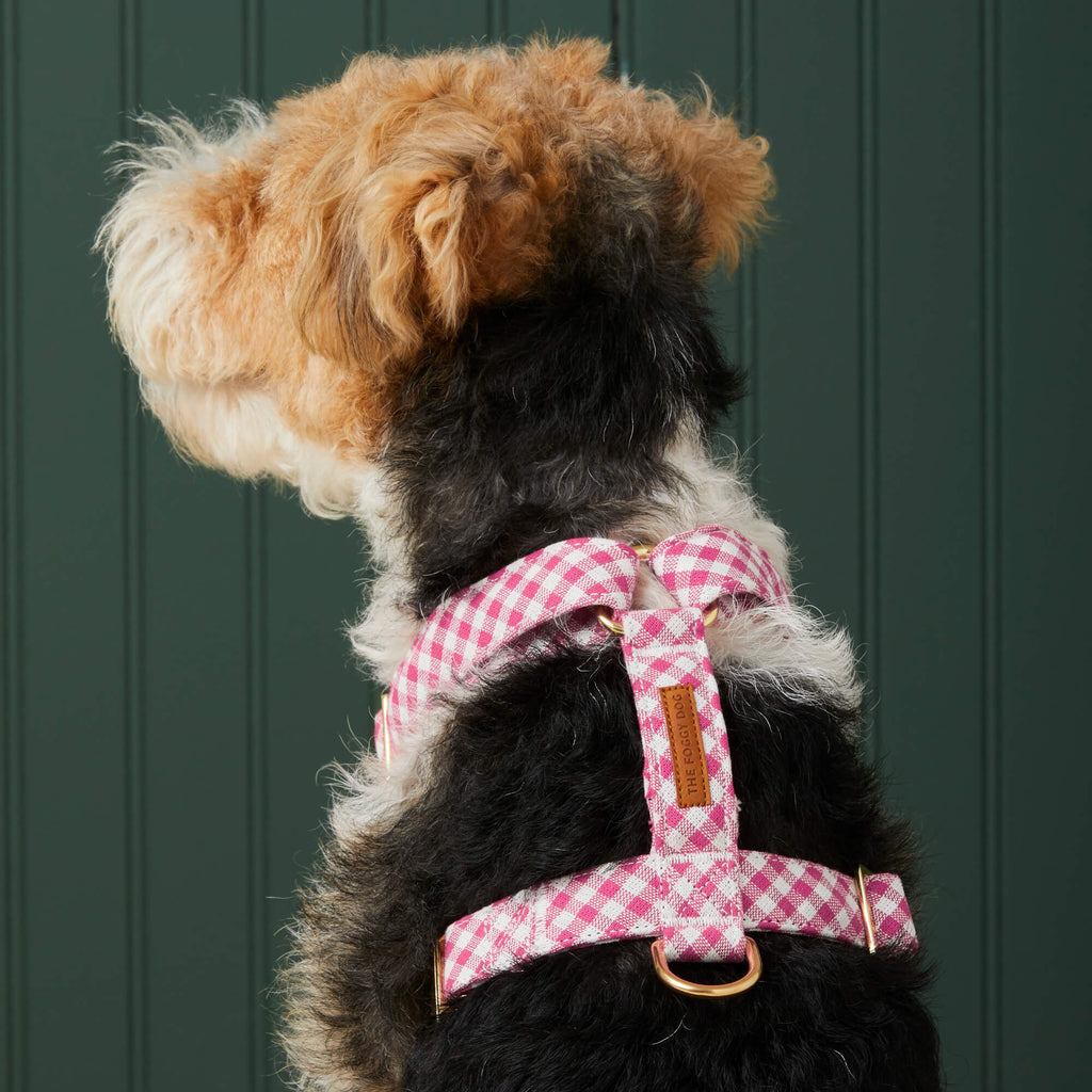 Hot Pink Gingham Dog Harness