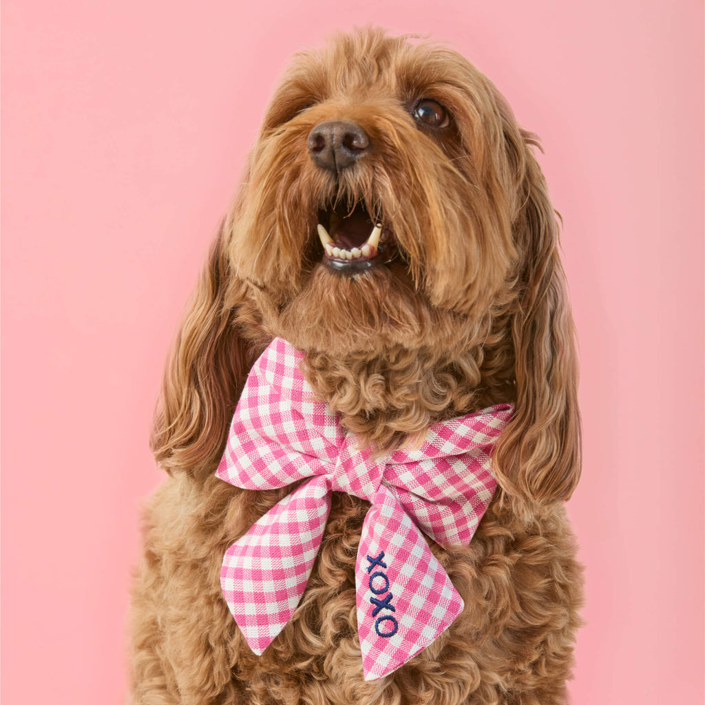 Hot Pink Gingham Lady Bow Collar