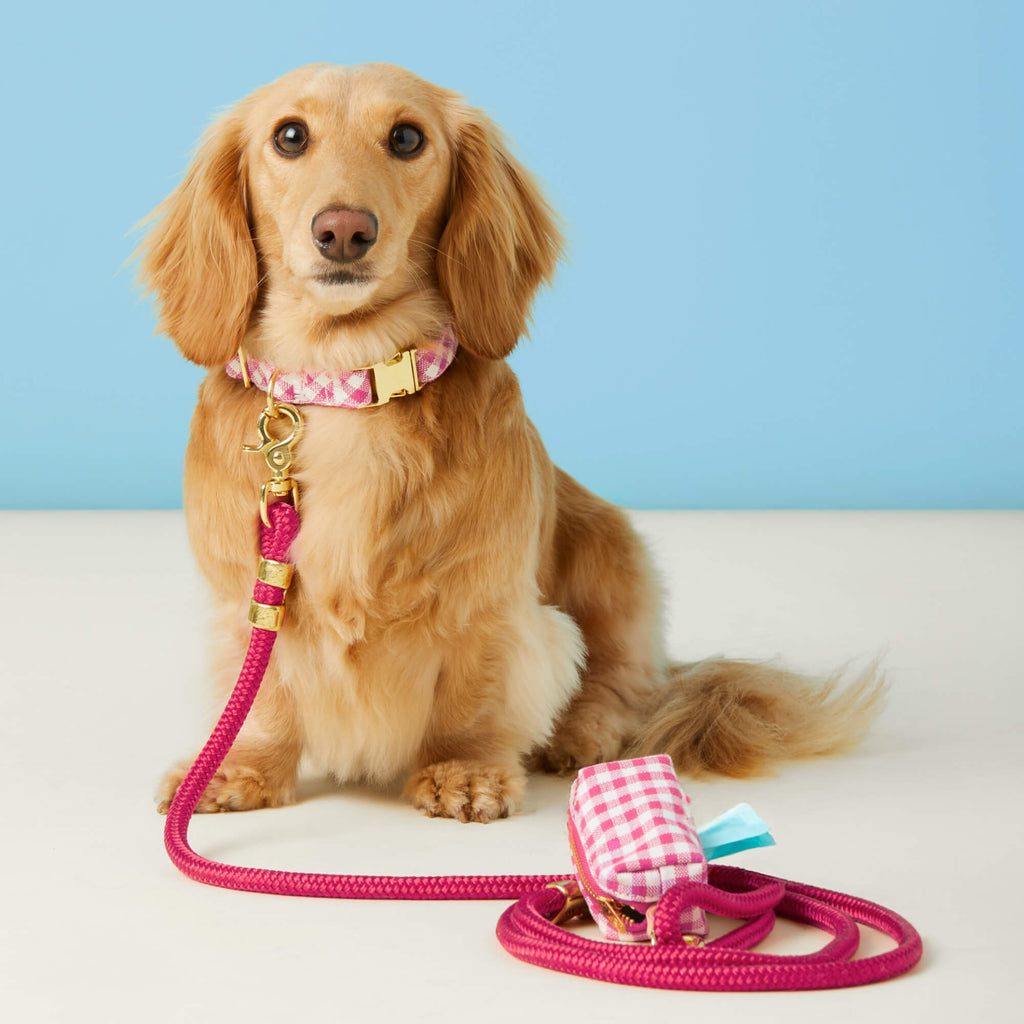 Hot Pink Gingham Collar Walk Set