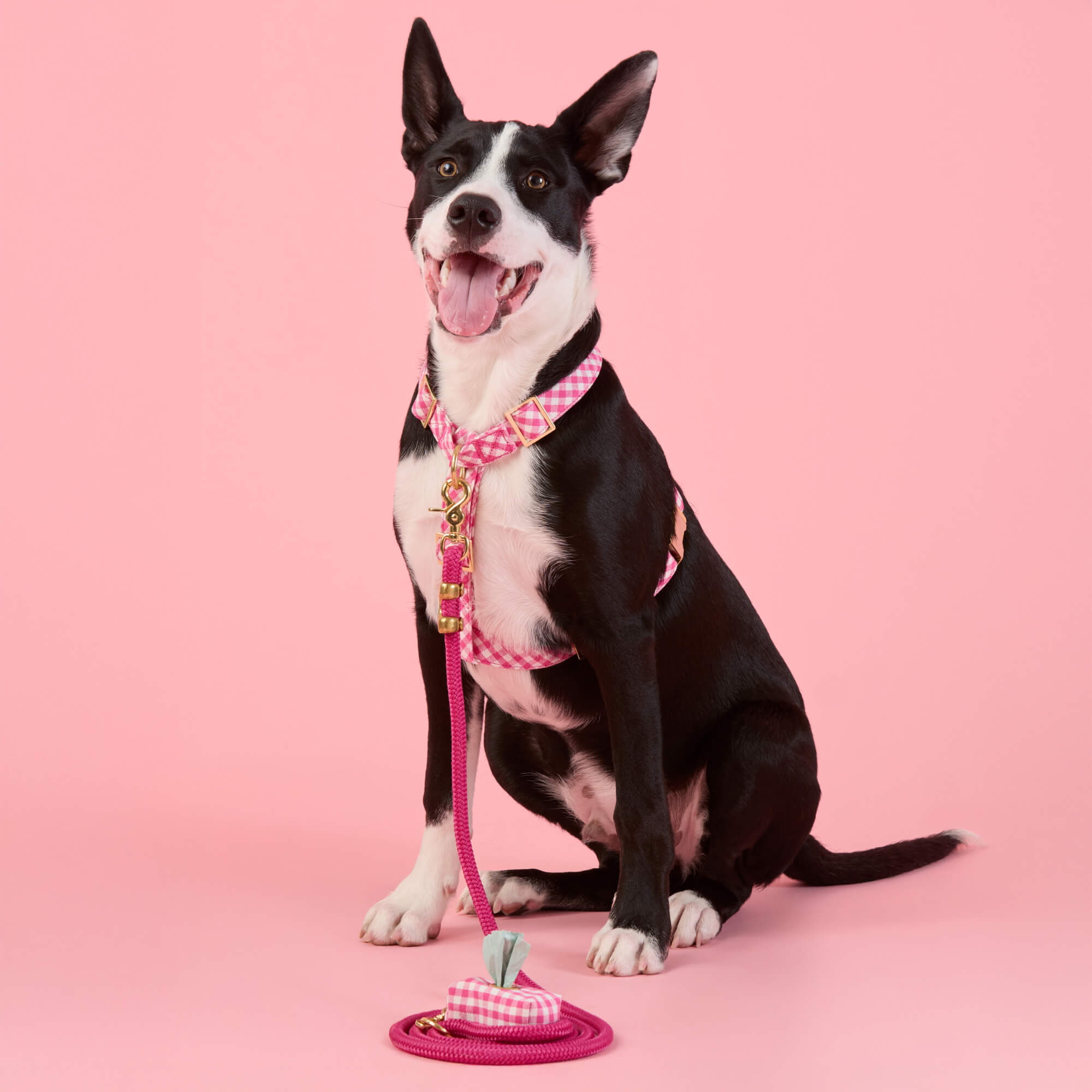 Hot Pink Gingham Harness Walk Set