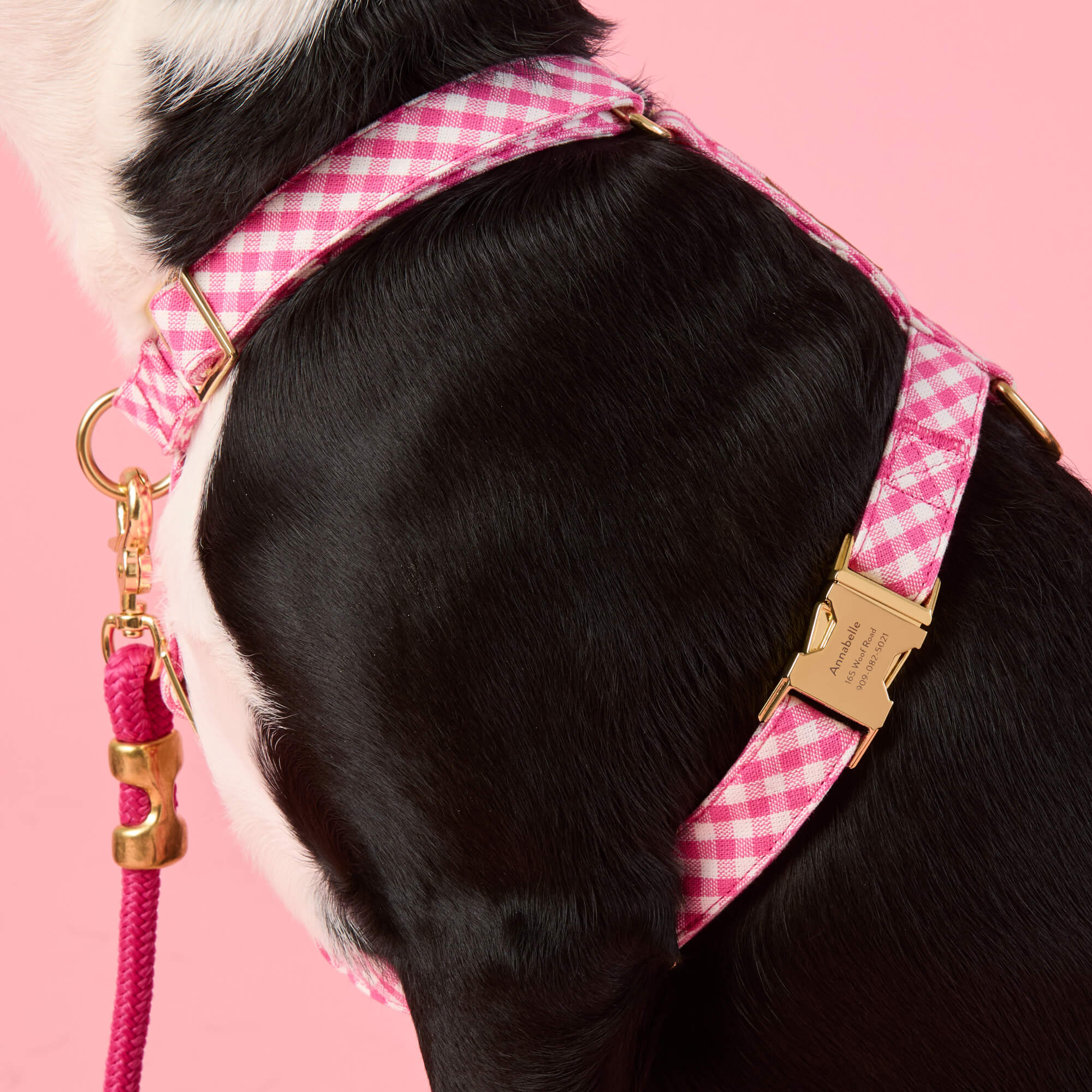Hot Pink Gingham Harness Walk Set