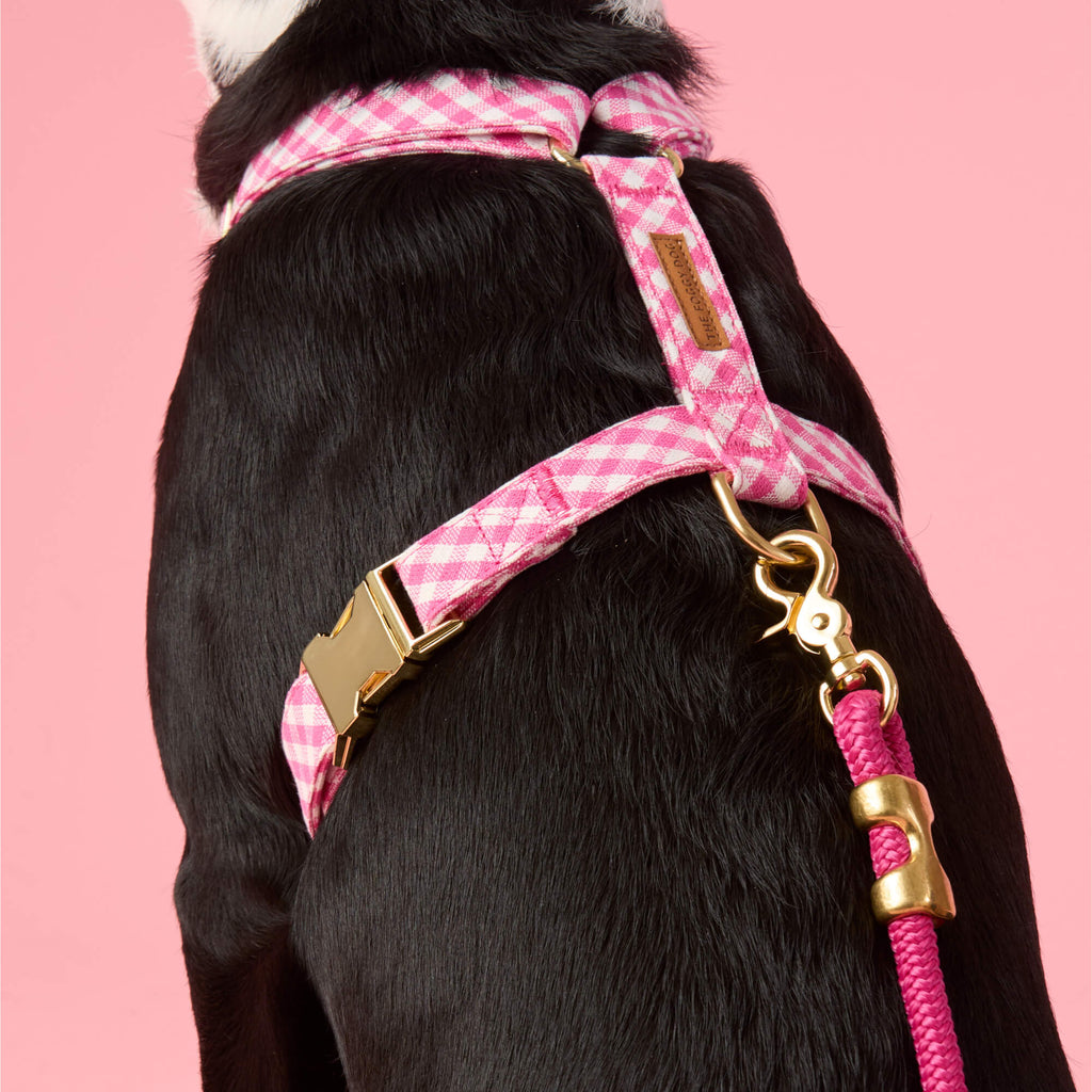 Hot Pink Gingham Dog Harness