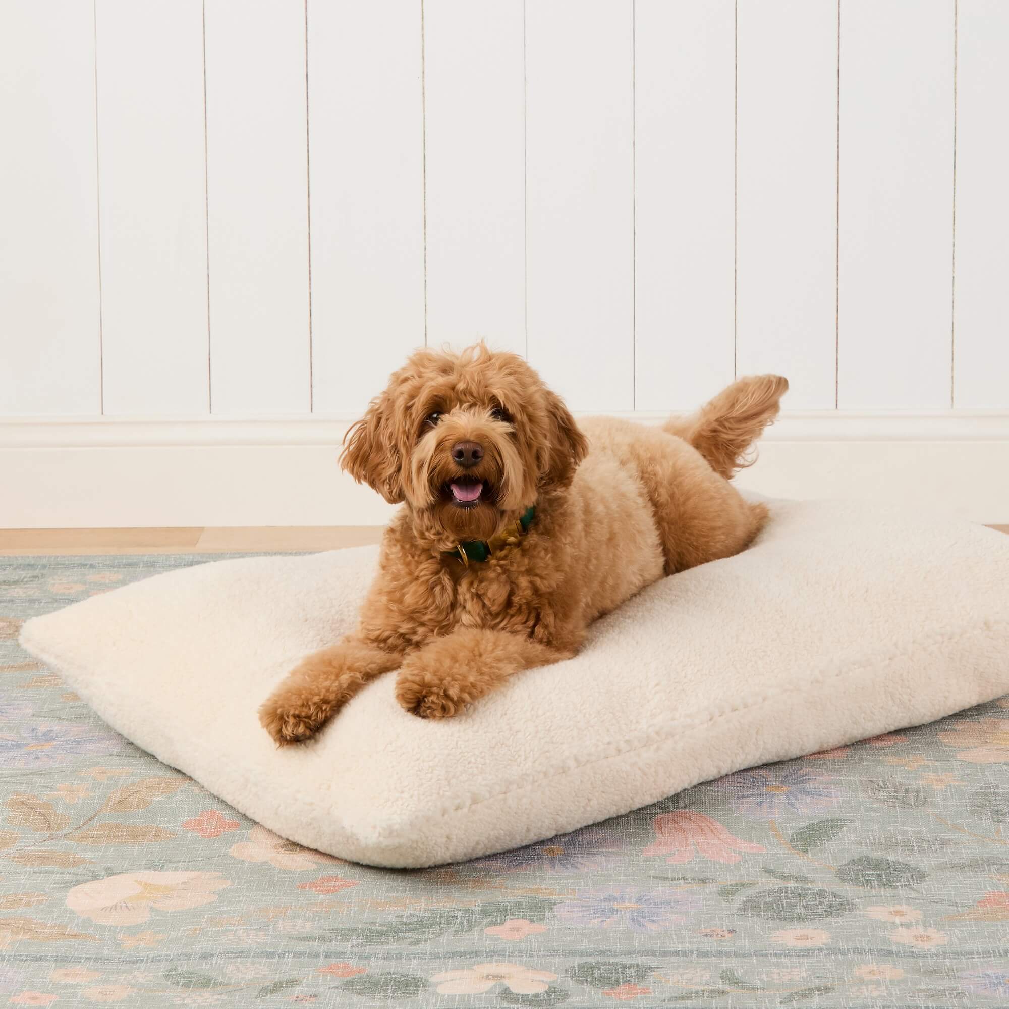 Ivory Sherpa Dog Bed