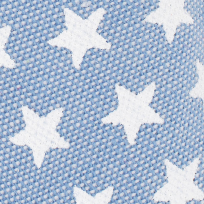 Liberty Dog Squeaky Toy