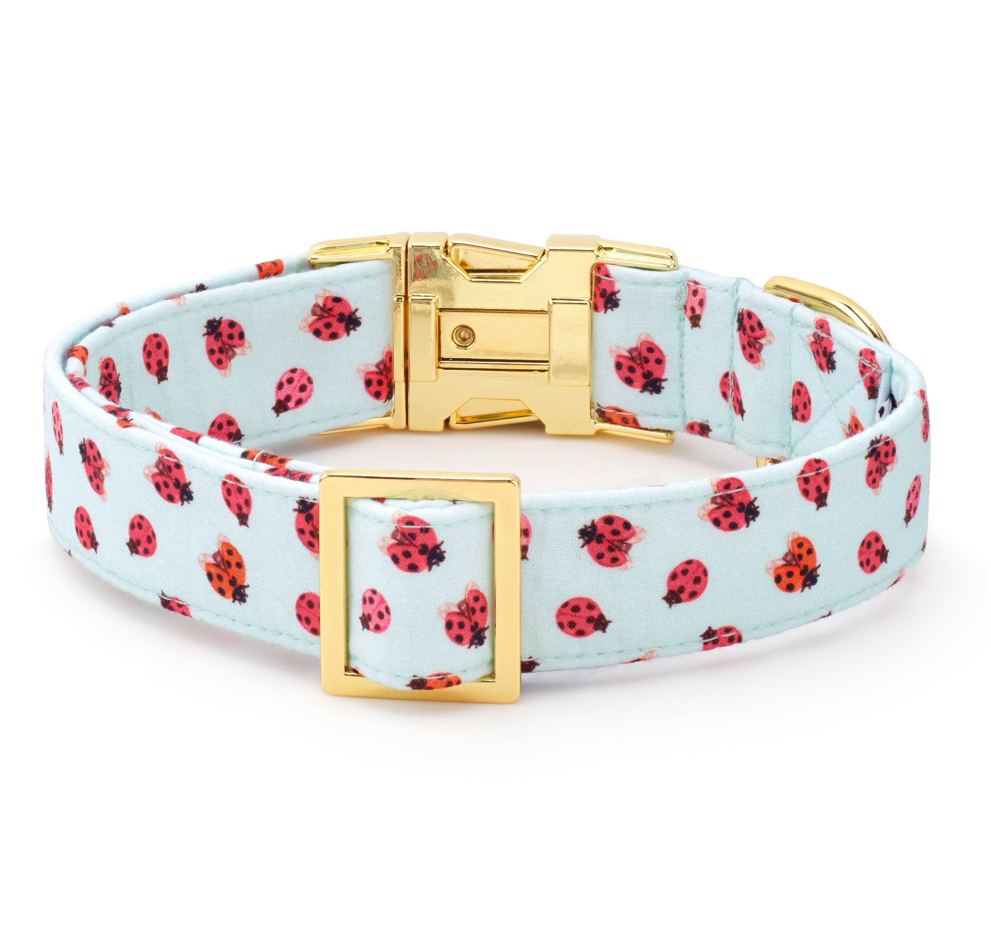 Love Bug Dog Collar